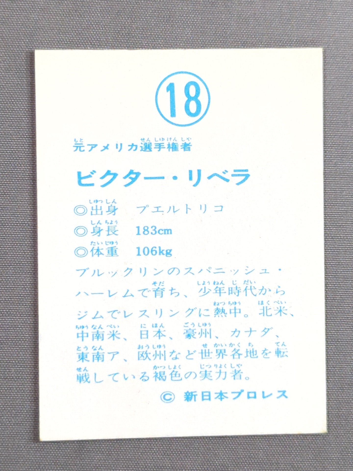 Victor Rivera Yamakatsu Pro Wrestling Card (18)