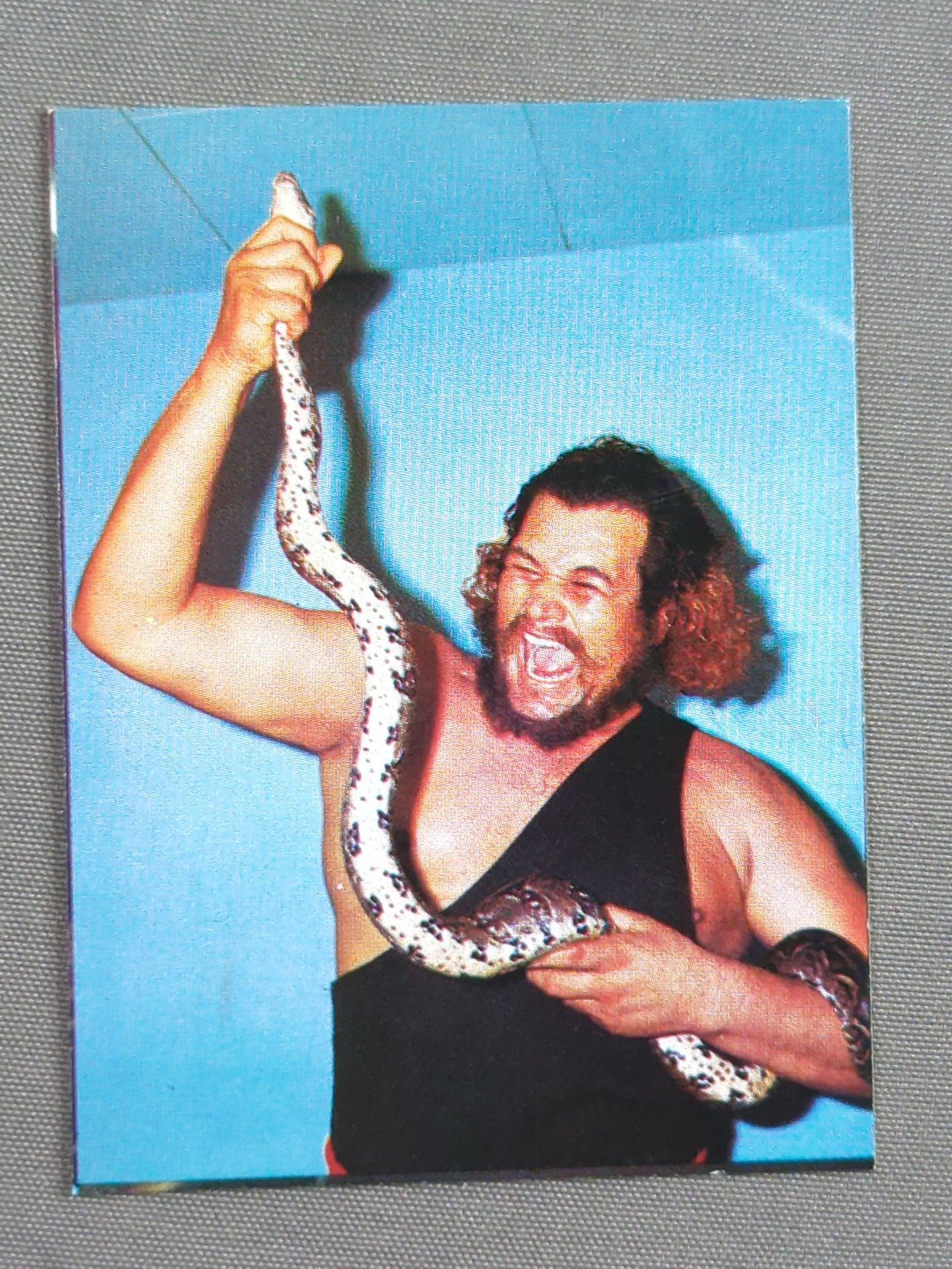 Anaconda Yamakatsu Pro Wrestling Card (20)