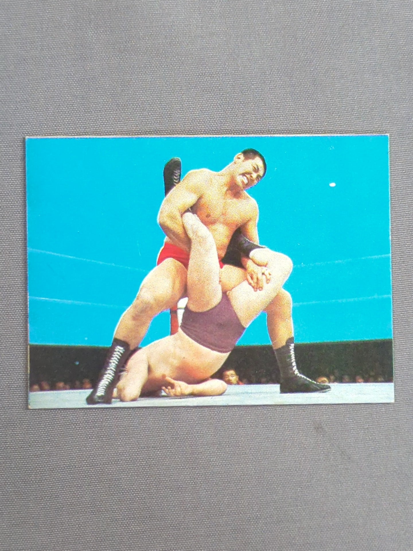 Seiji Sakaguchi Yamakatsu Pro Wrestling Card (32)