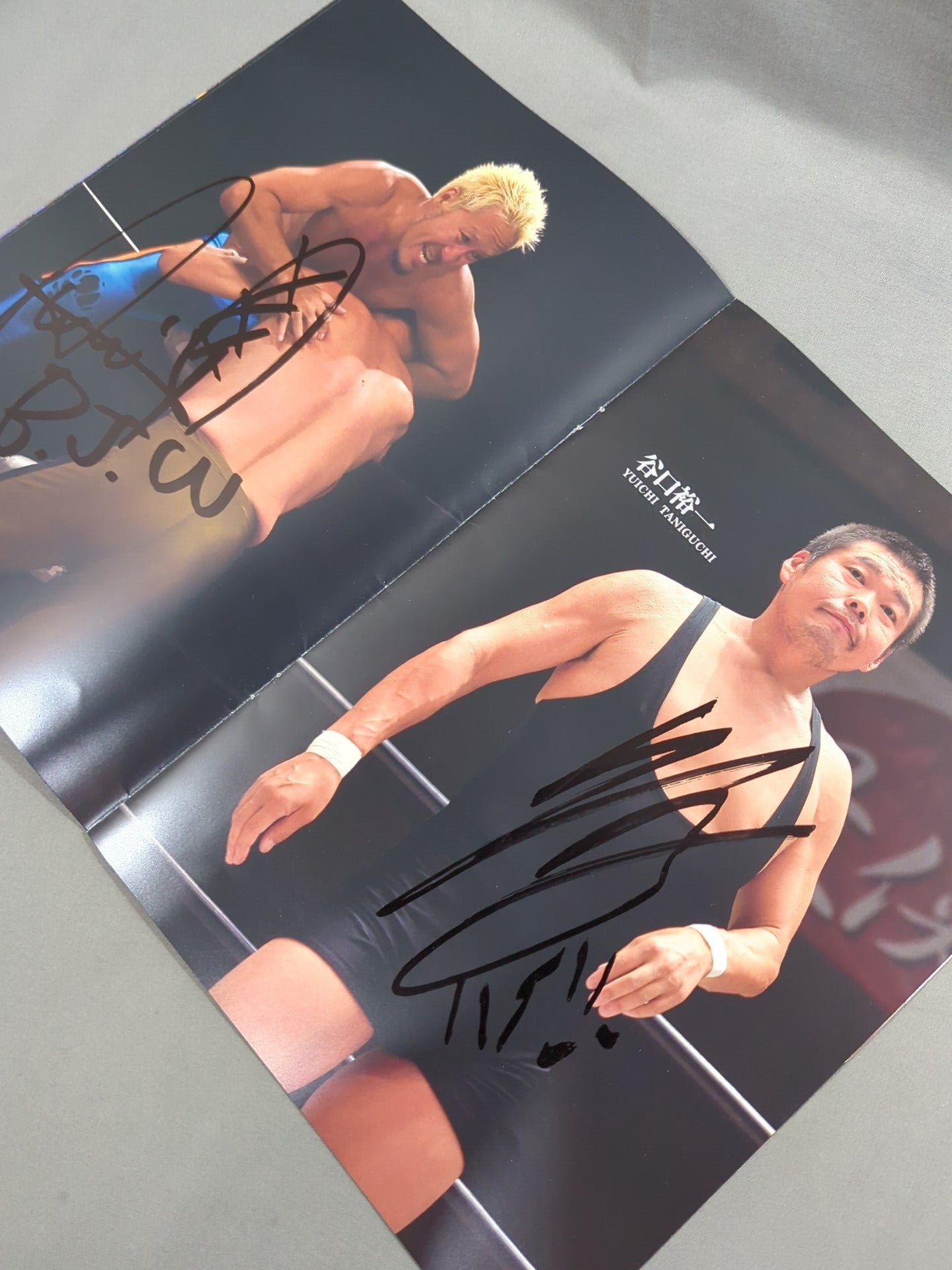 【16選手直筆サイン入り】大日本プロレス 迎春 2016 NEWYEAR AUTOGRAPH ALBUM