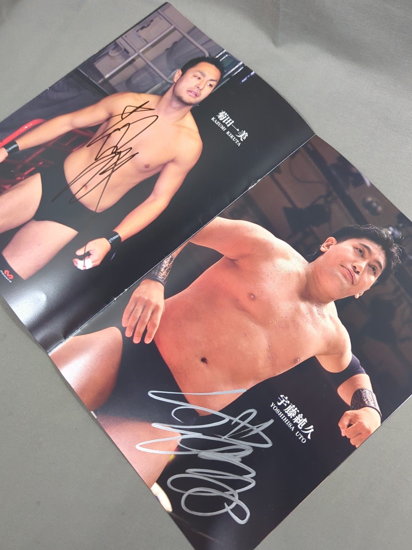 【16選手直筆サイン入り】大日本プロレス 迎春 2016 NEWYEAR AUTOGRAPH ALBUM