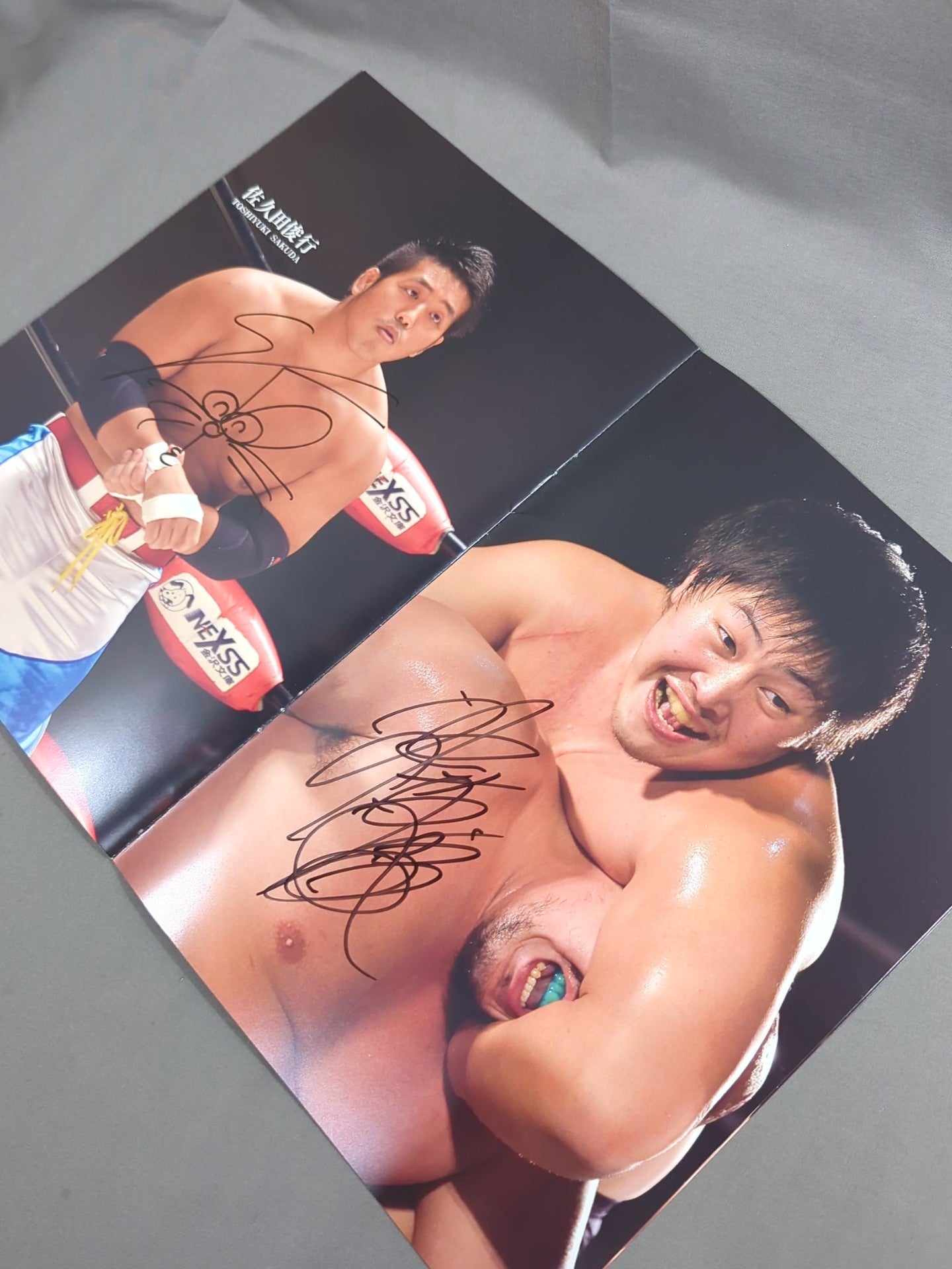 【16選手直筆サイン入り】大日本プロレス 迎春 2016 NEWYEAR AUTOGRAPH ALBUM