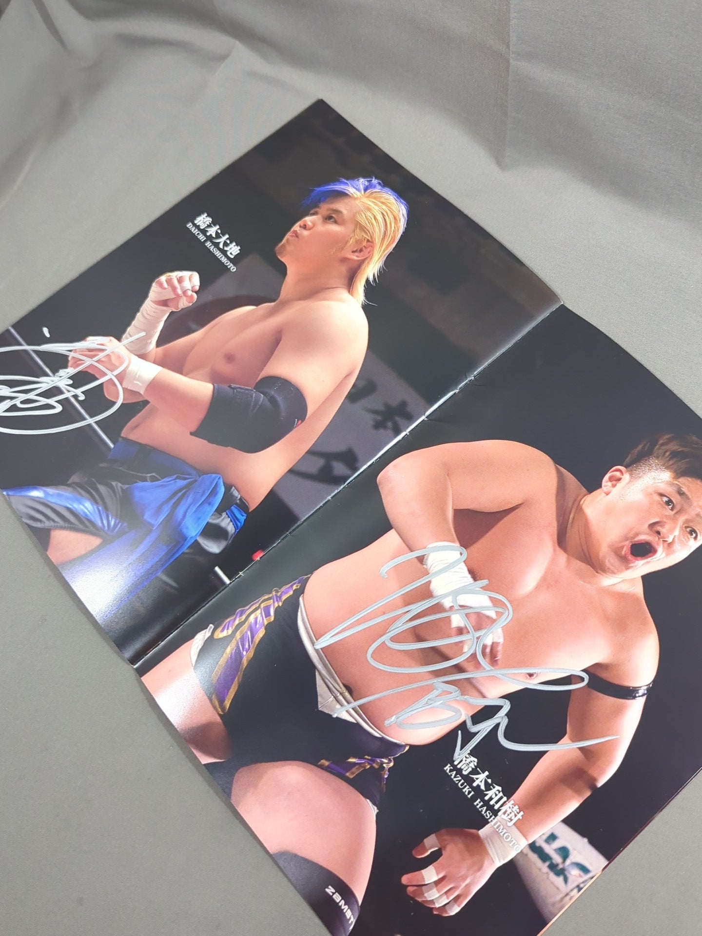 【16選手直筆サイン入り】大日本プロレス 迎春 2016 NEWYEAR AUTOGRAPH ALBUM