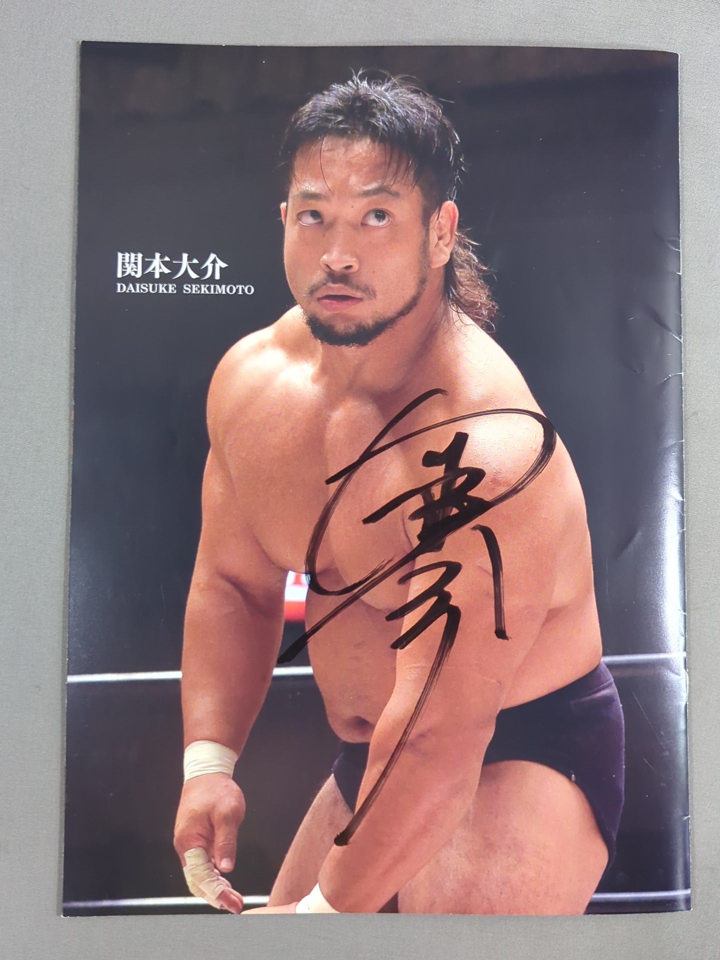 【16選手直筆サイン入り】大日本プロレス 迎春 2016 NEWYEAR AUTOGRAPH ALBUM
