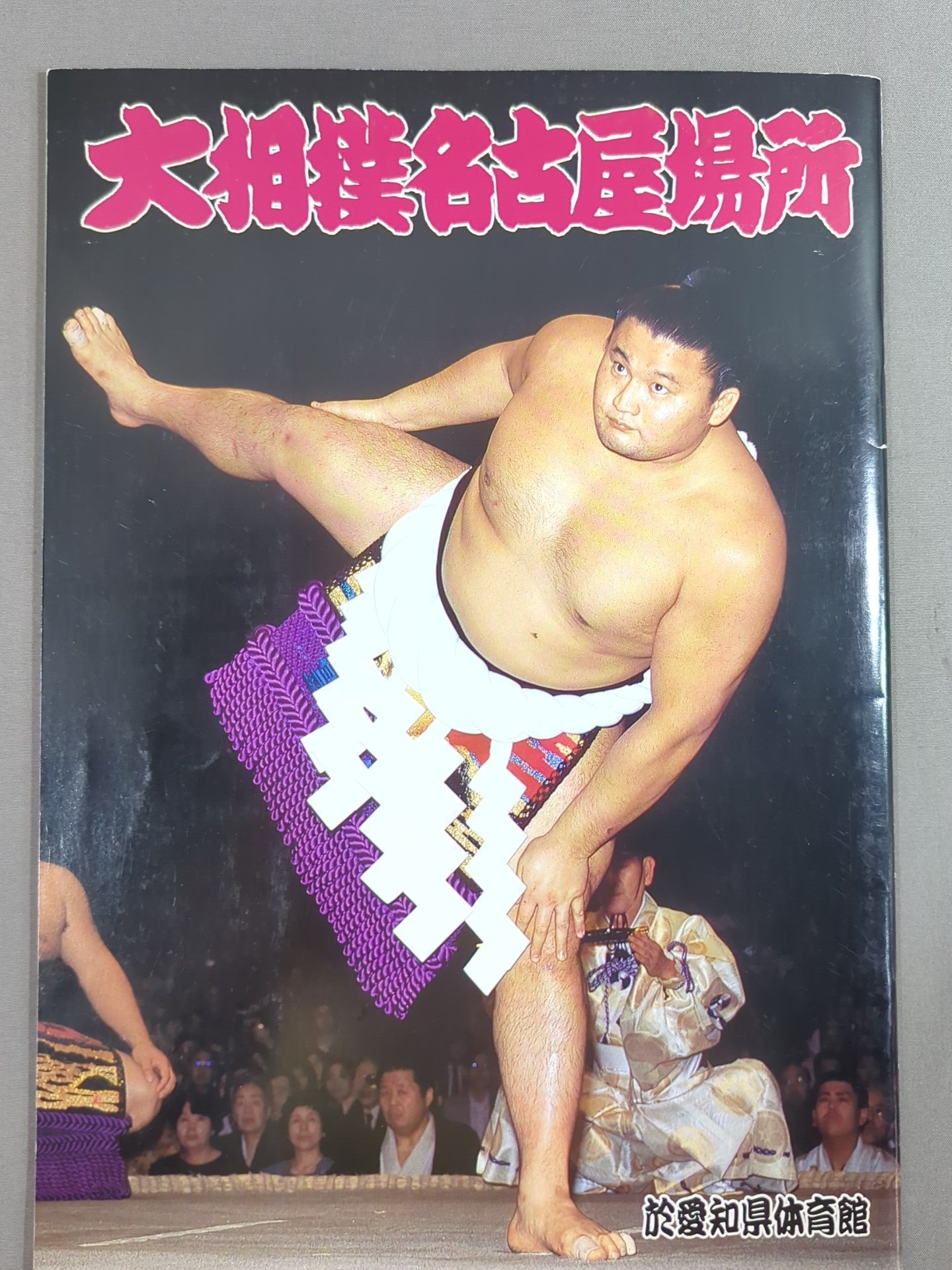 大相撲名古屋場所(1996年)