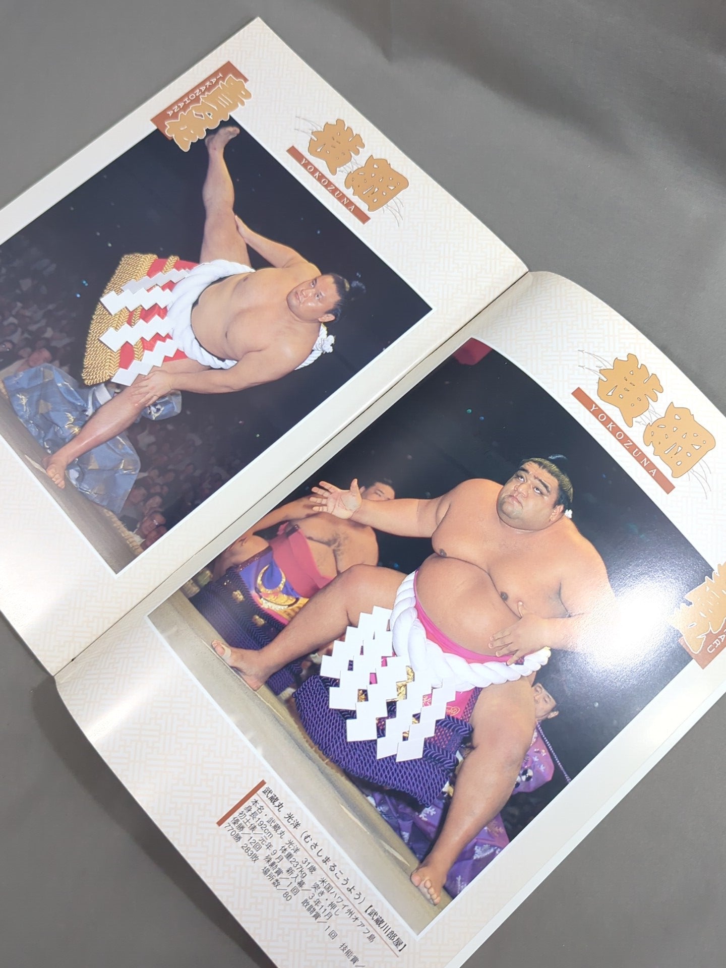 Grand Sumo November Tournament (2002)