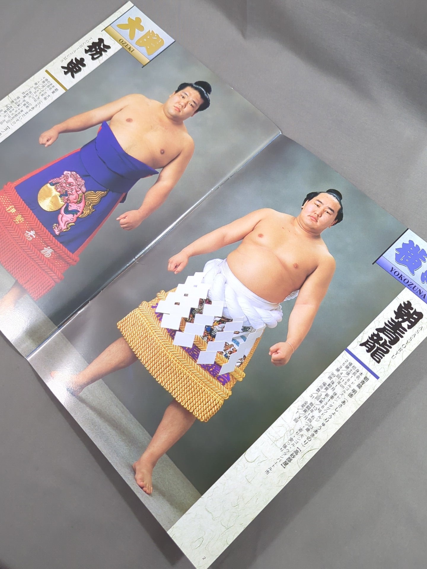 Grand Sumo January Tournament (2004)
