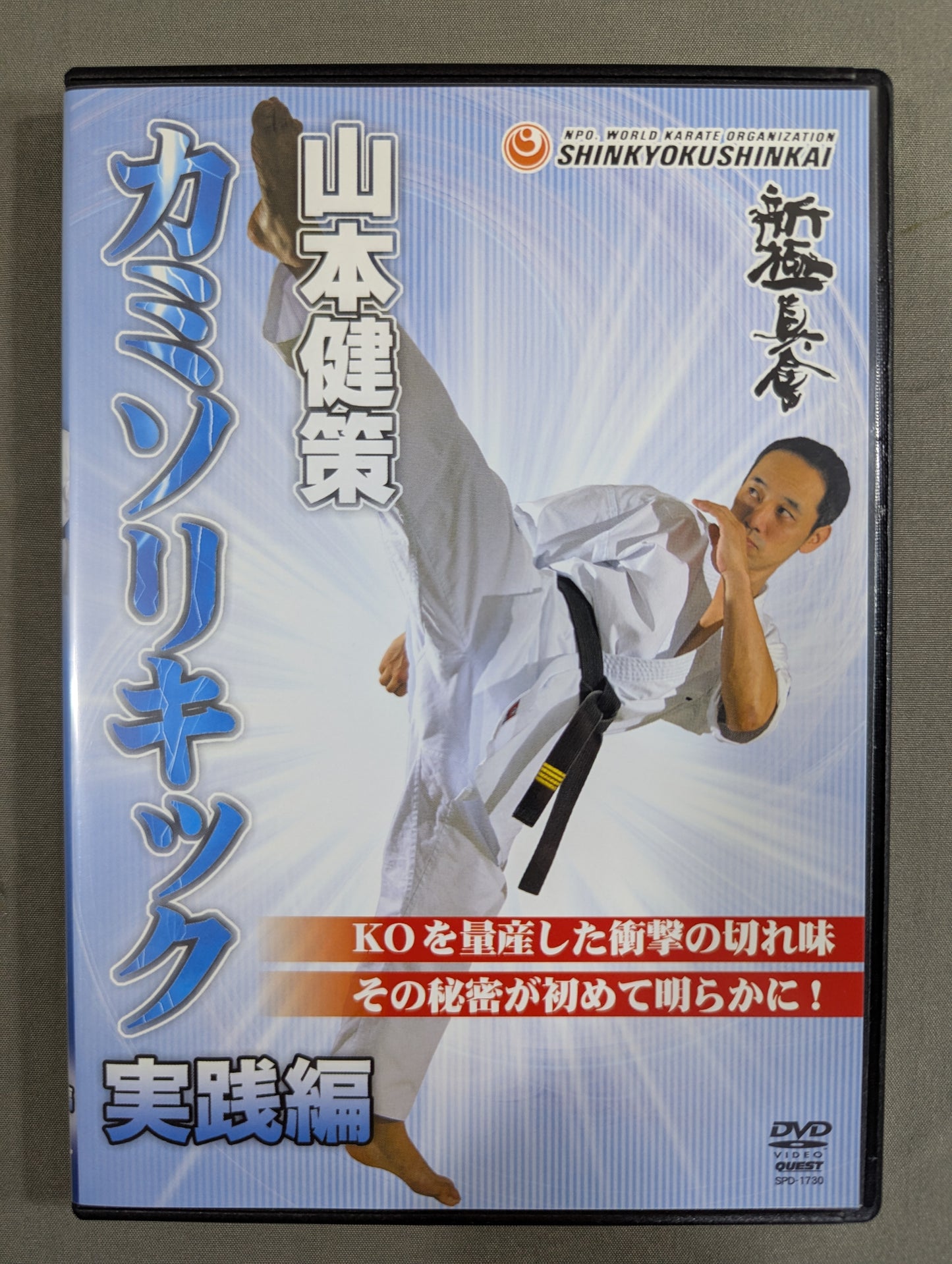 ★新極真会★ 山本健策 カミソリキック 実践編