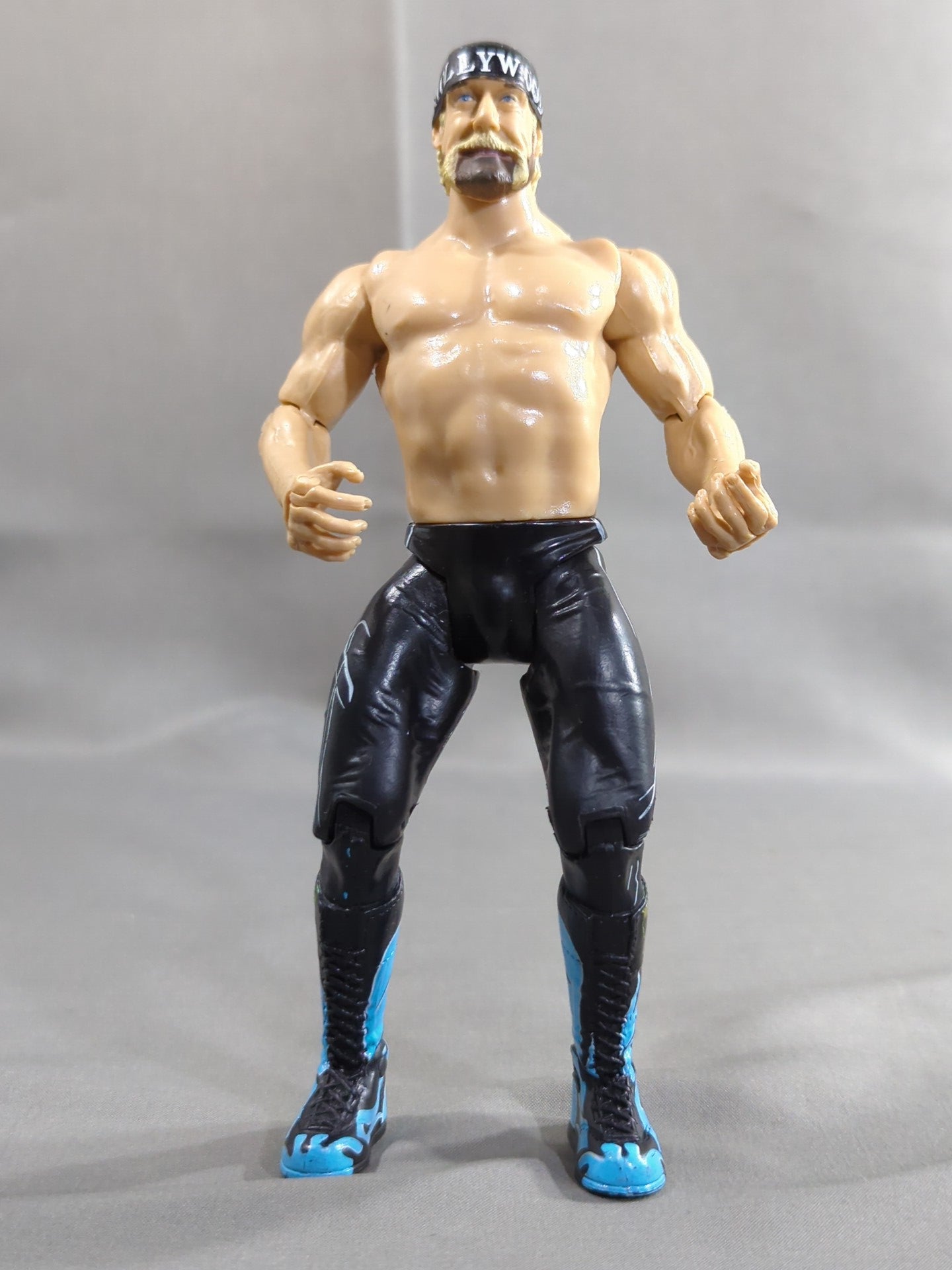 Hollywood Hulk Hogan