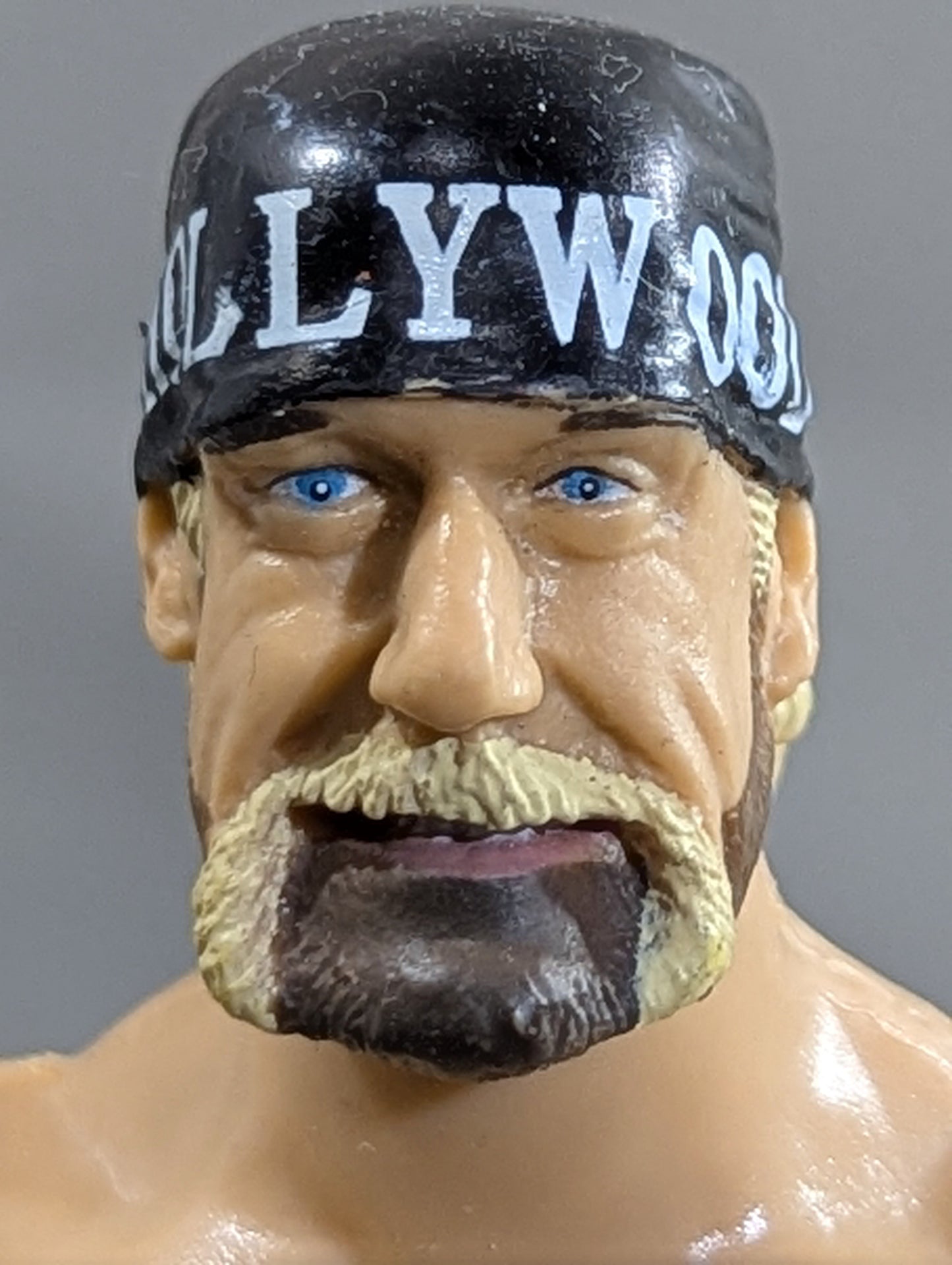Hollywood Hulk Hogan