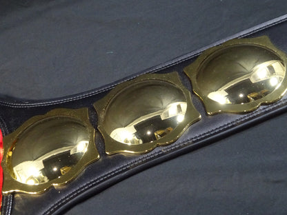 United National Heavyweight Championship Belt