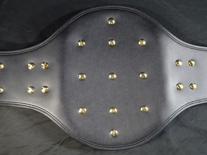 United National Heavyweight Championship Belt
