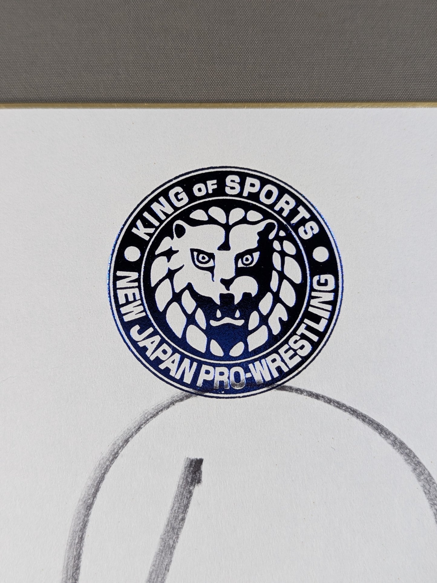 Yuji Nagata (Lion Mark Shikishi ( Autograph board ) )