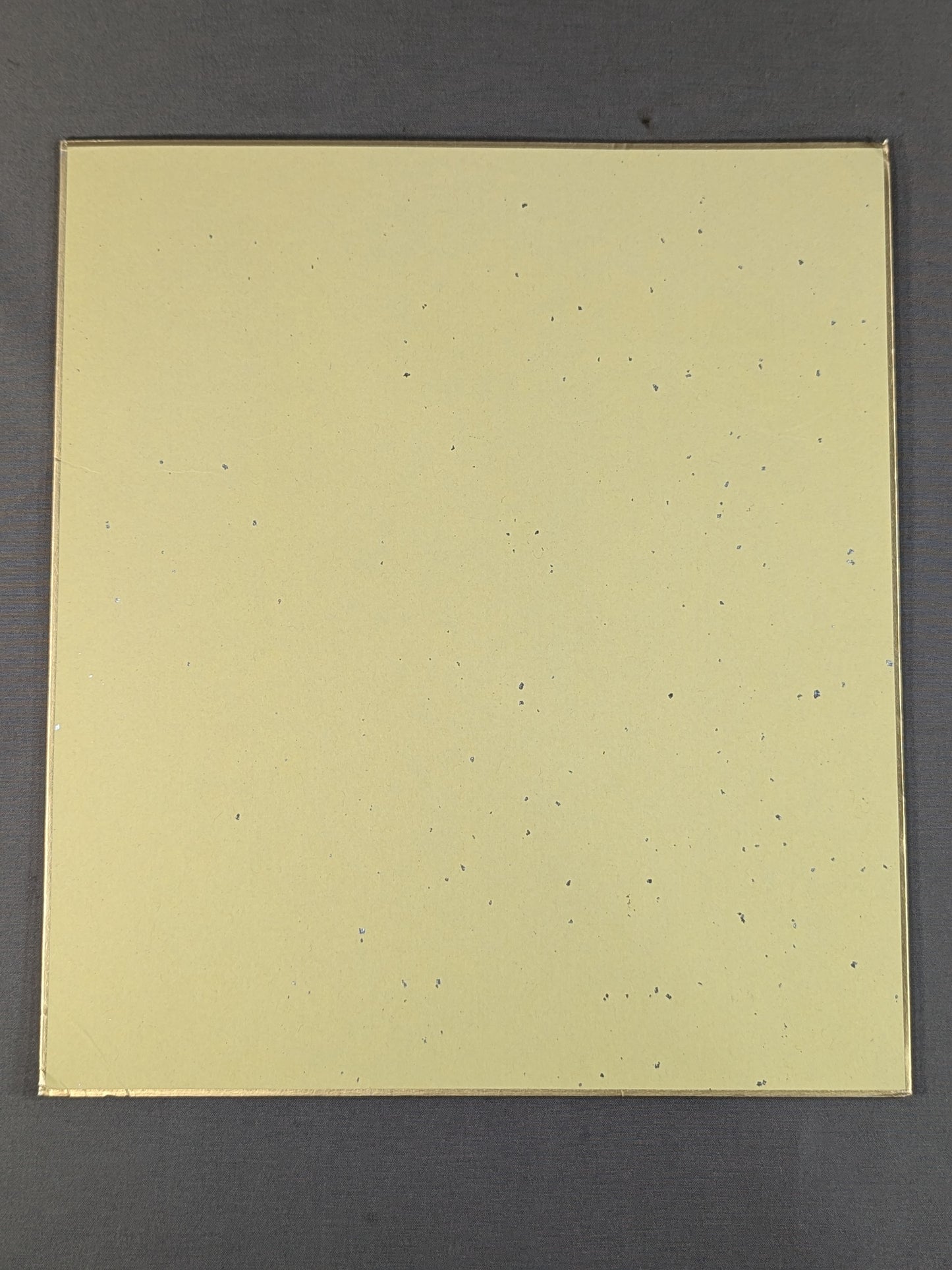 Yuji Nagata (Lion Mark Shikishi ( Autograph board ) )