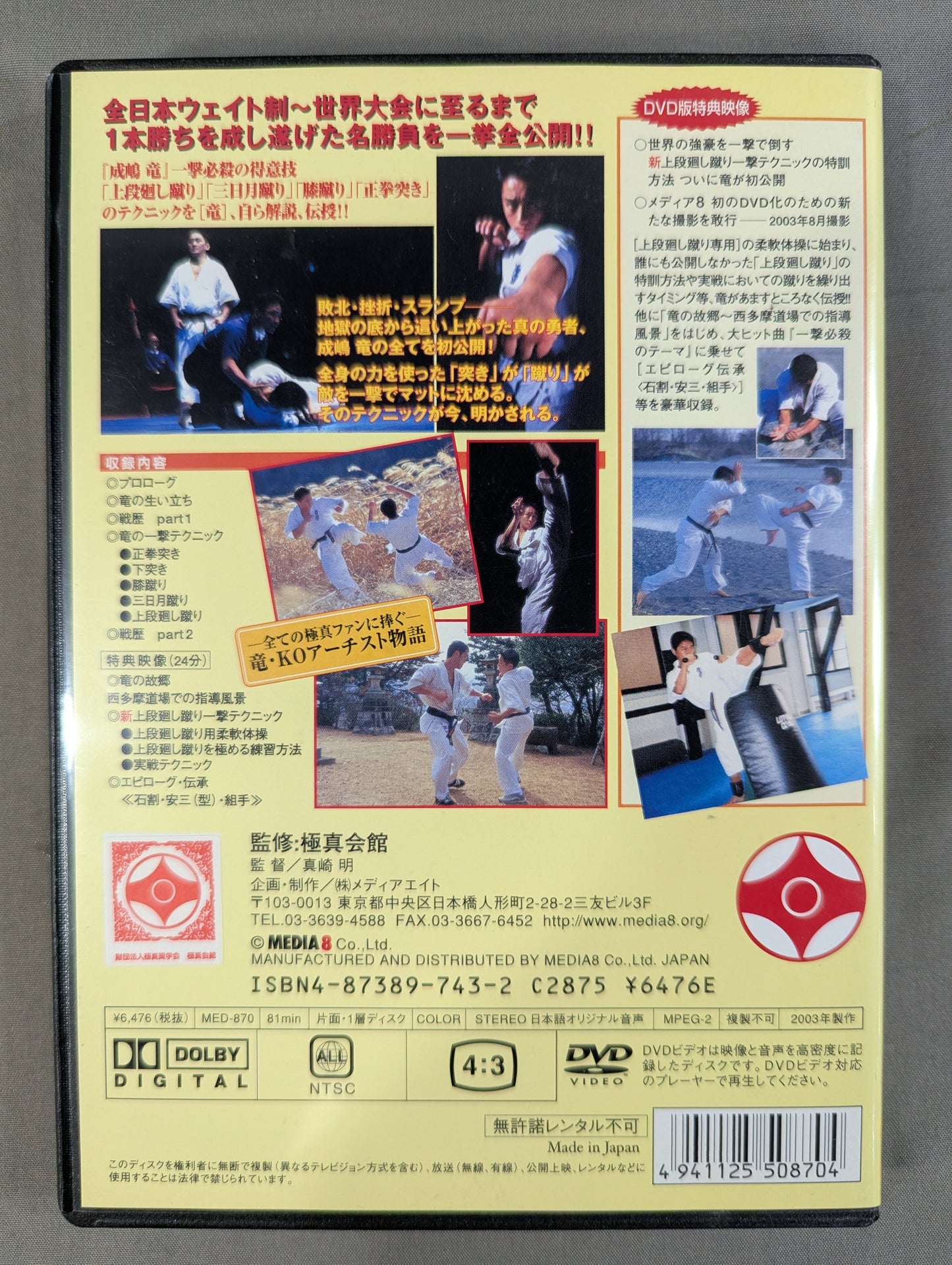★スペシャル版★ 一撃の竜 テクニック&ベストマッチ 成嶋竜