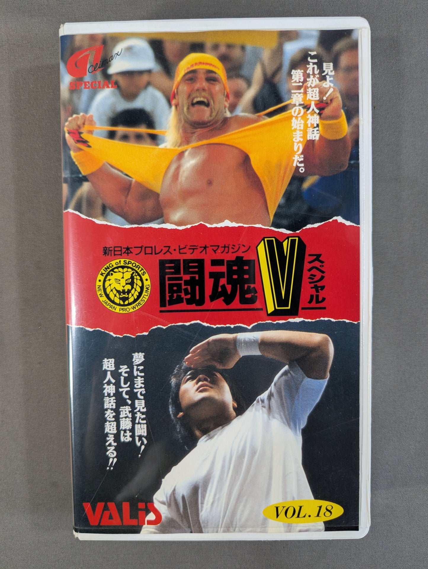 Fighting Spirit V Special Vol.18 ★ Muto Keiji vs ★ Hulk Hogan