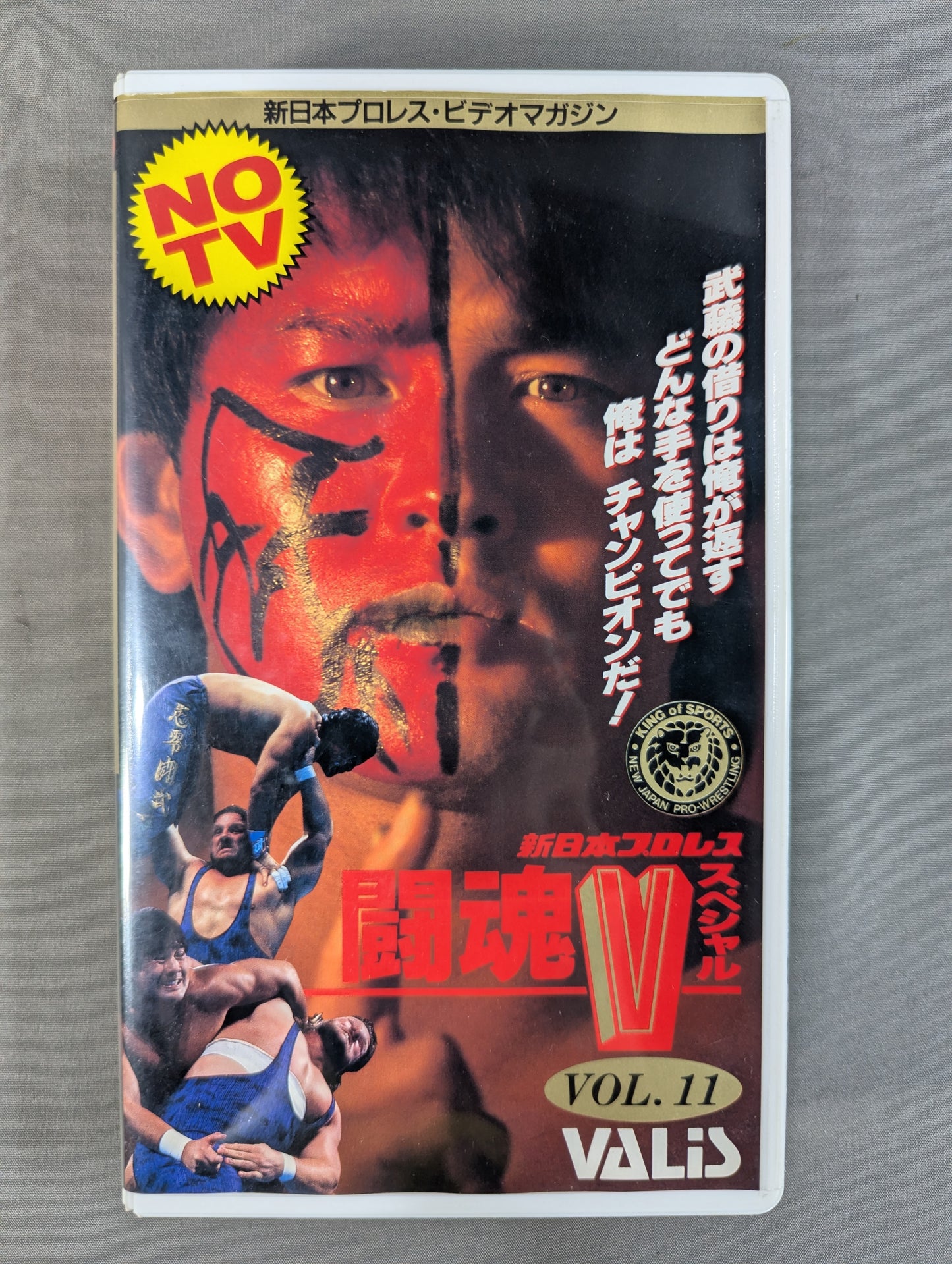 Fighting Spirit V Special Vol.11