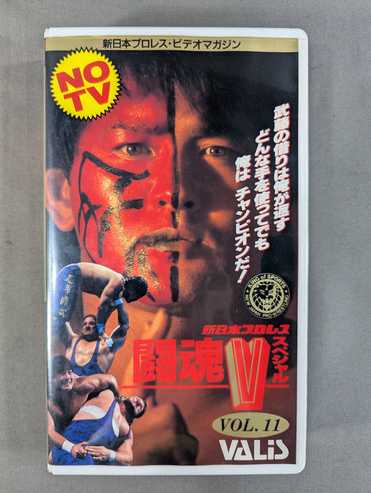 Fighting Spirit V Special Vol.11