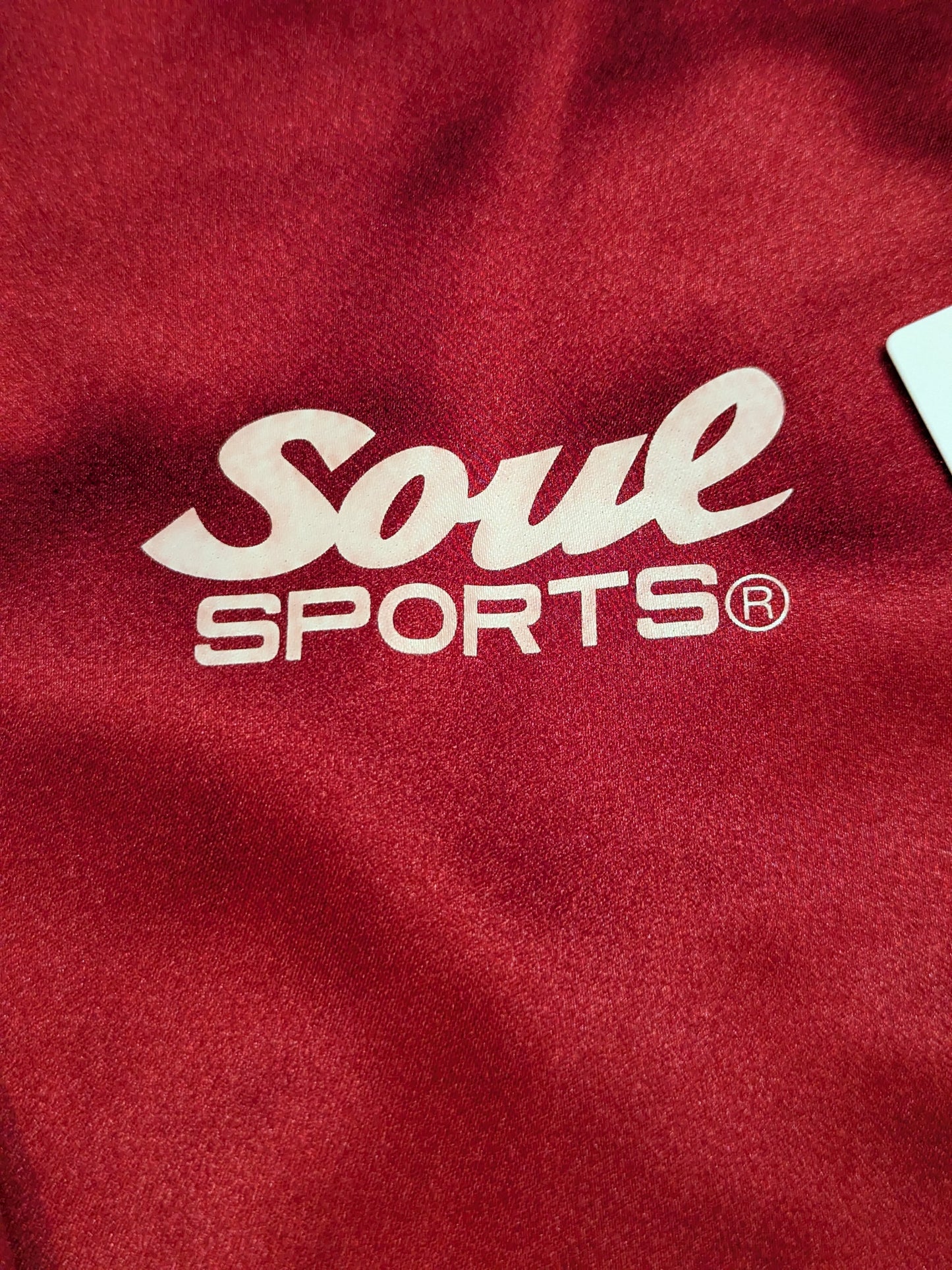 ★非売品★ Sareee×SOUL 「Sareee ISM」セットアップジャージ(レッド)