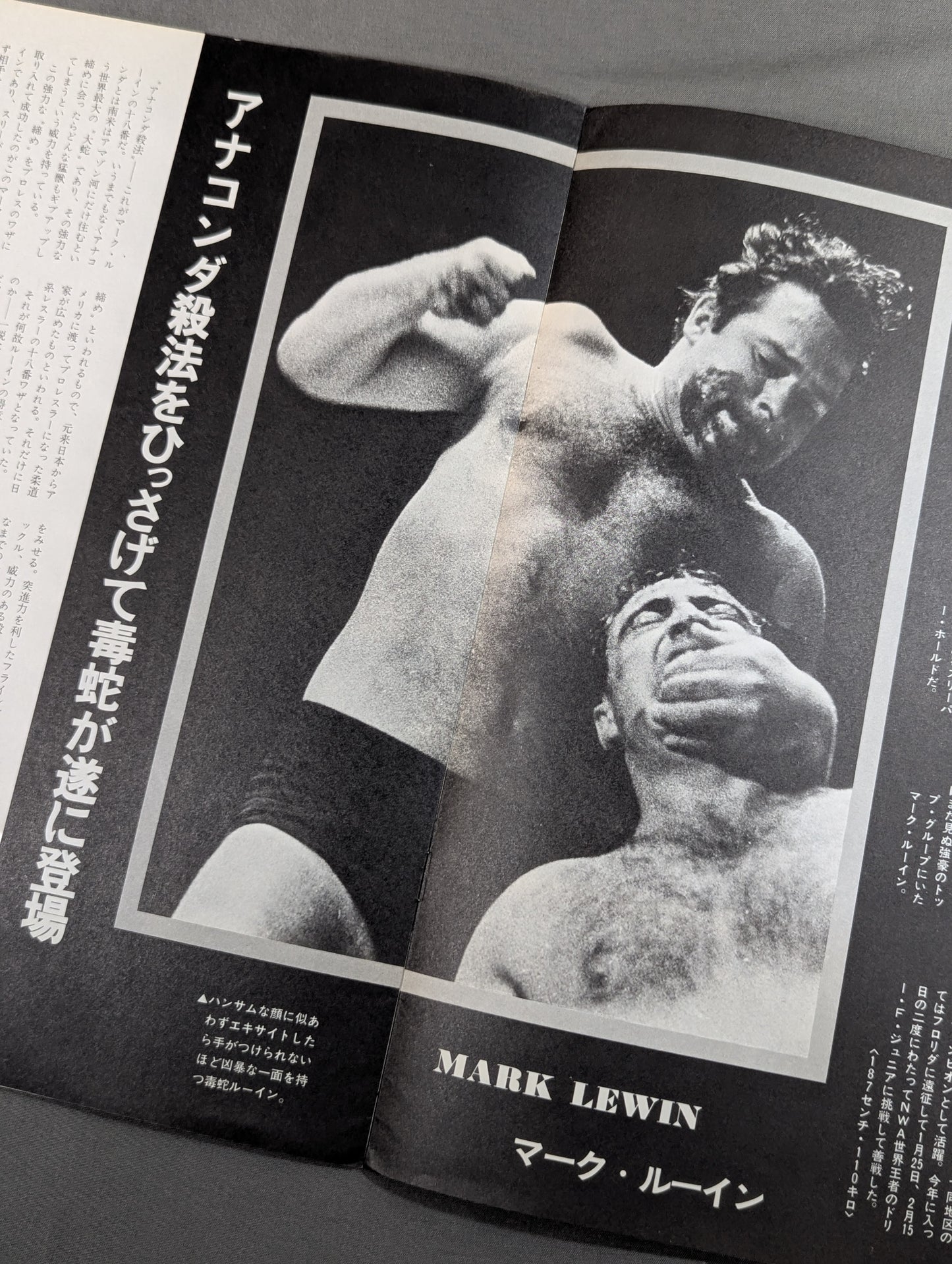 73第1回チャンピオン・カーニバル