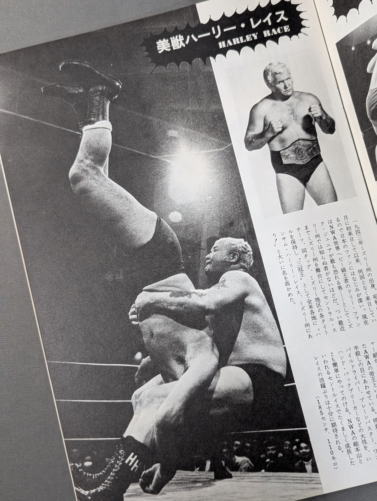 73ジャイアント・シリーズ結集戦
