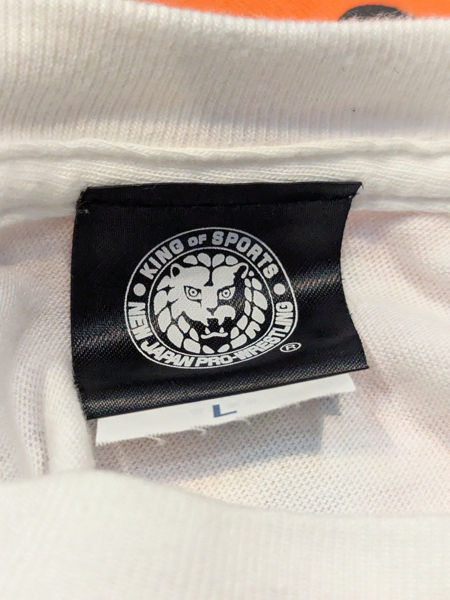 藤田晃生「JAPANESE YOUNG PUNK」 Tシャツ