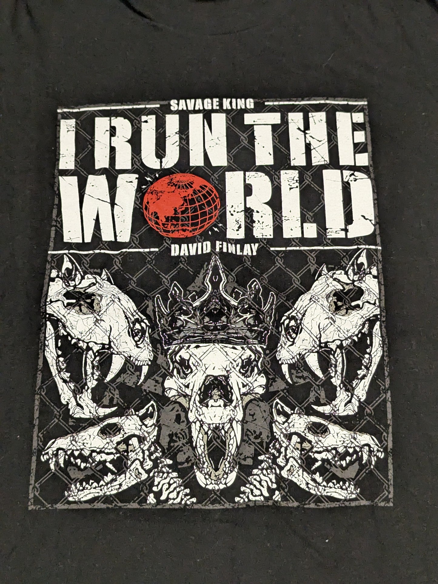 デビッド・フィンレー「I RUN THEWORLD」Tシャツ