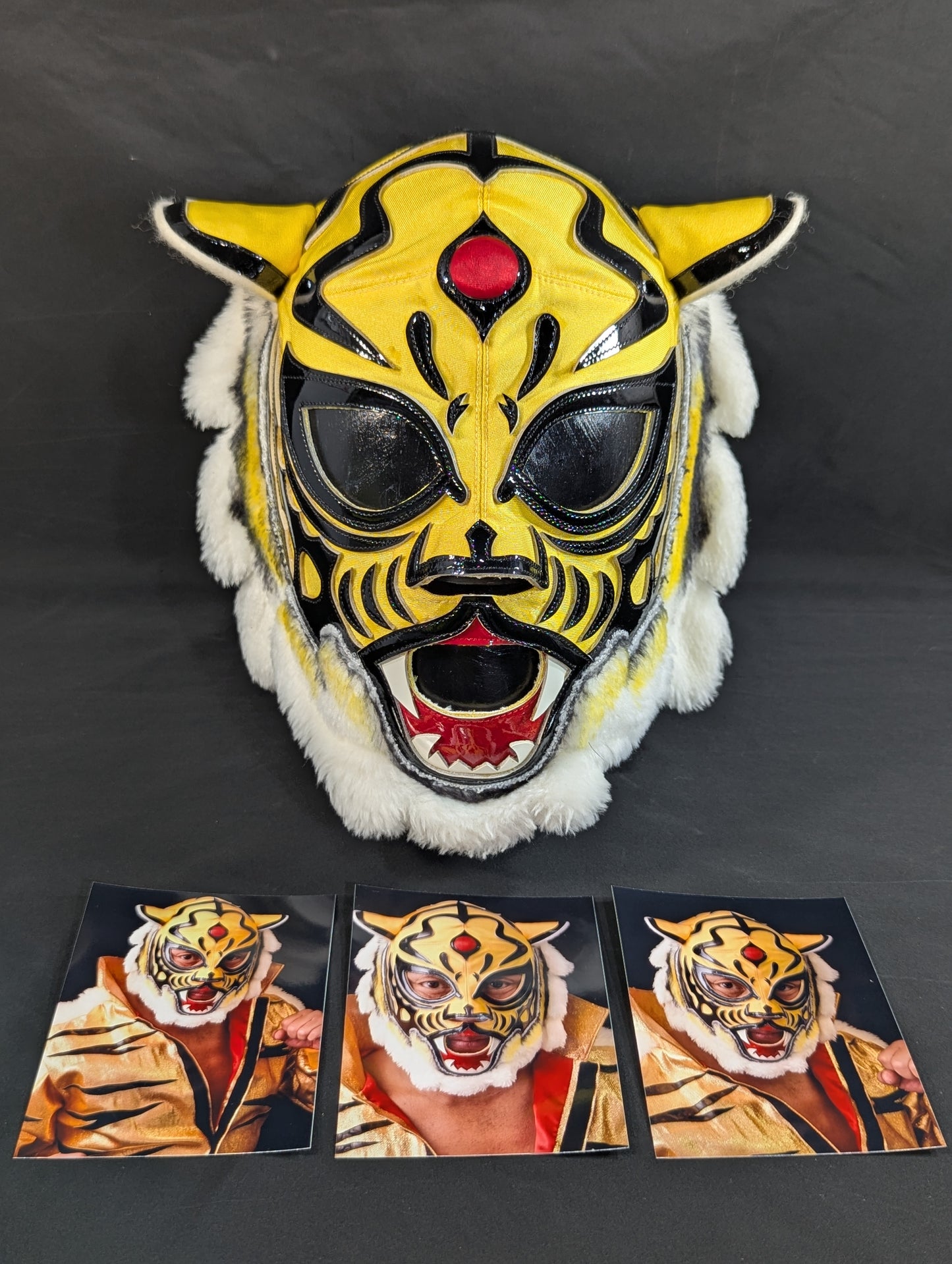 4th  Tiger Mask