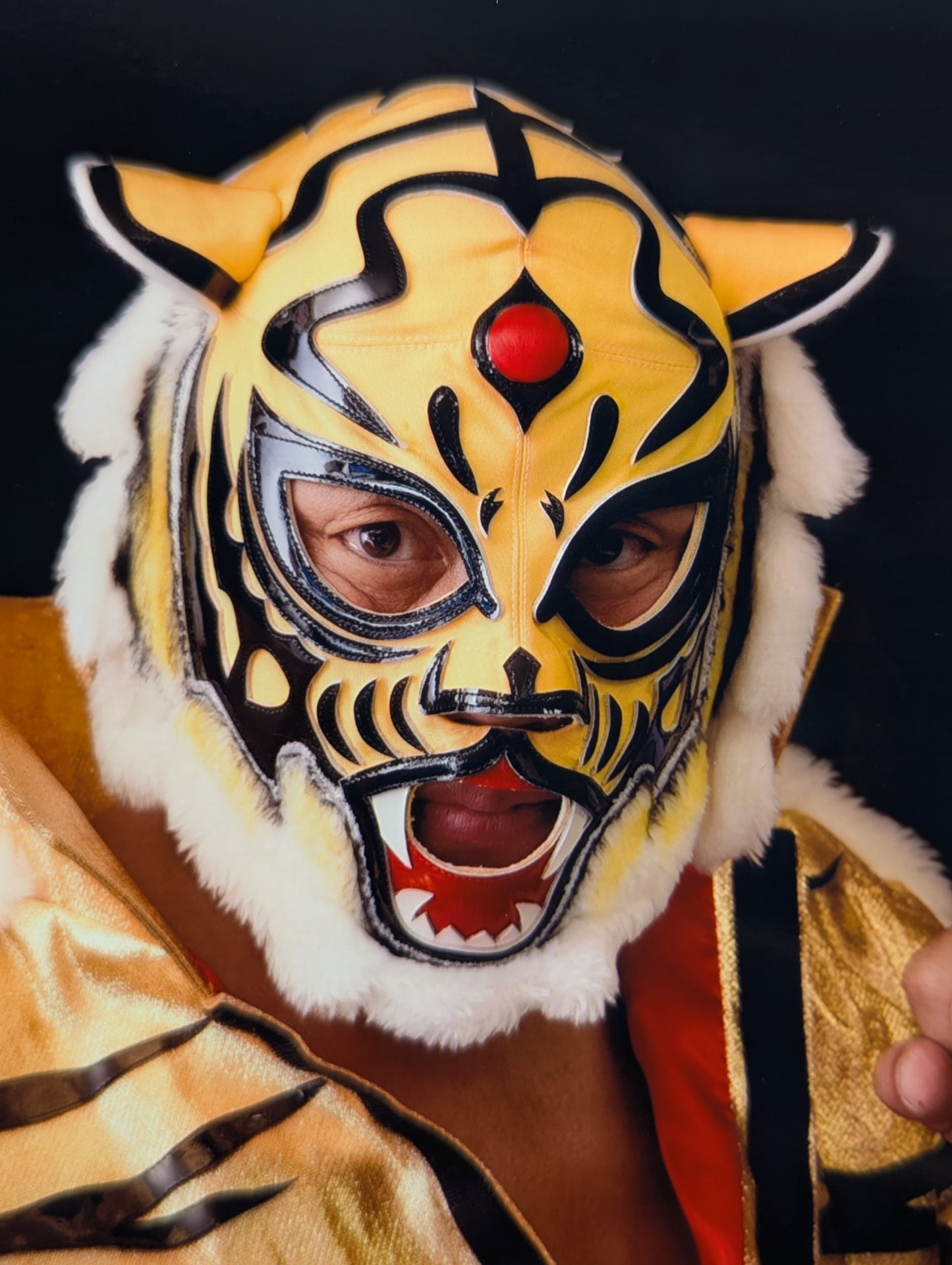 4th  Tiger Mask