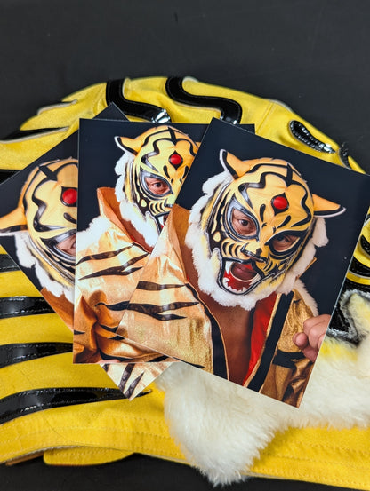 4th  Tiger Mask