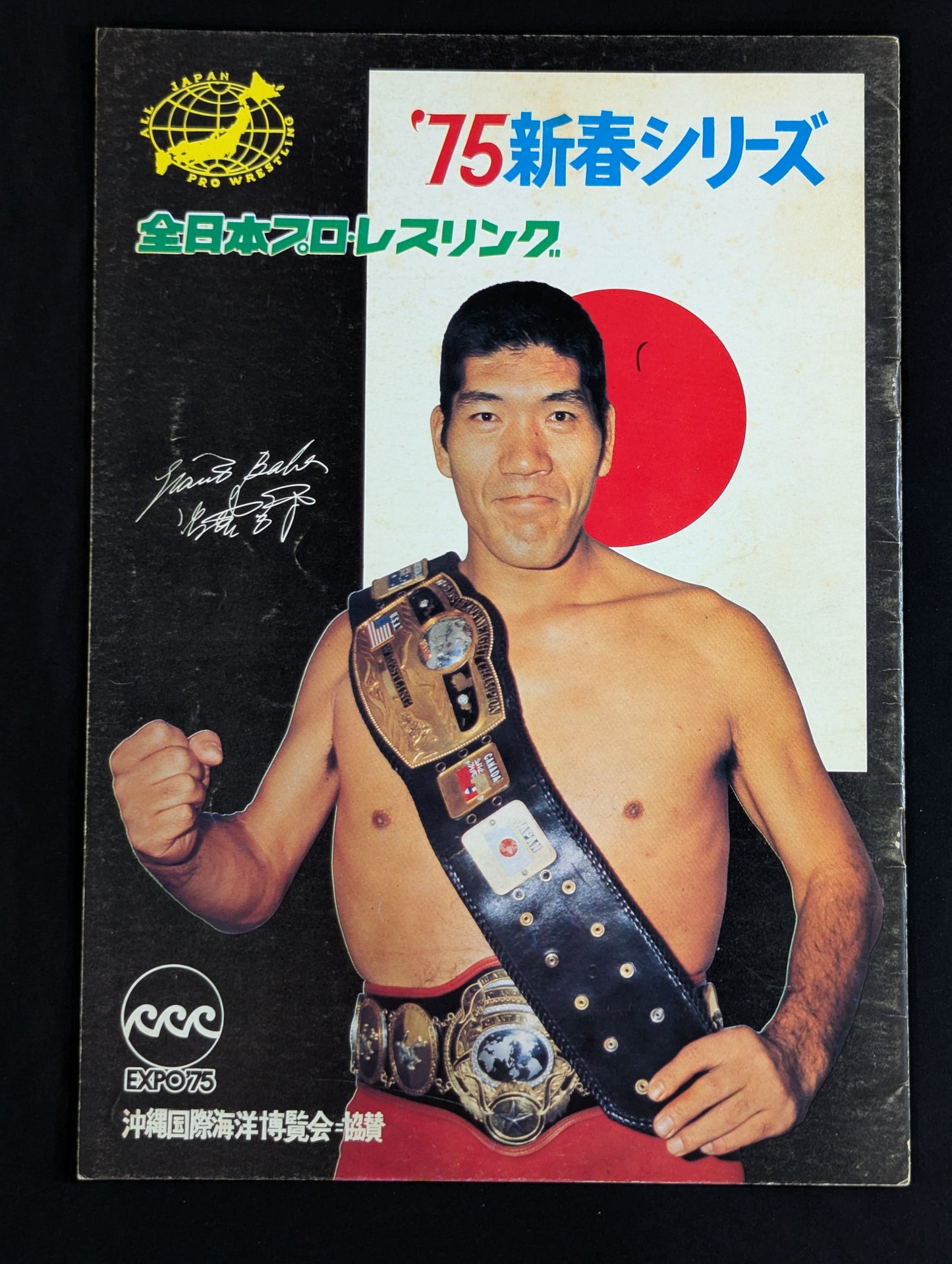 【12選手直筆サイン入り・生写真3枚付】75新春シリーズ