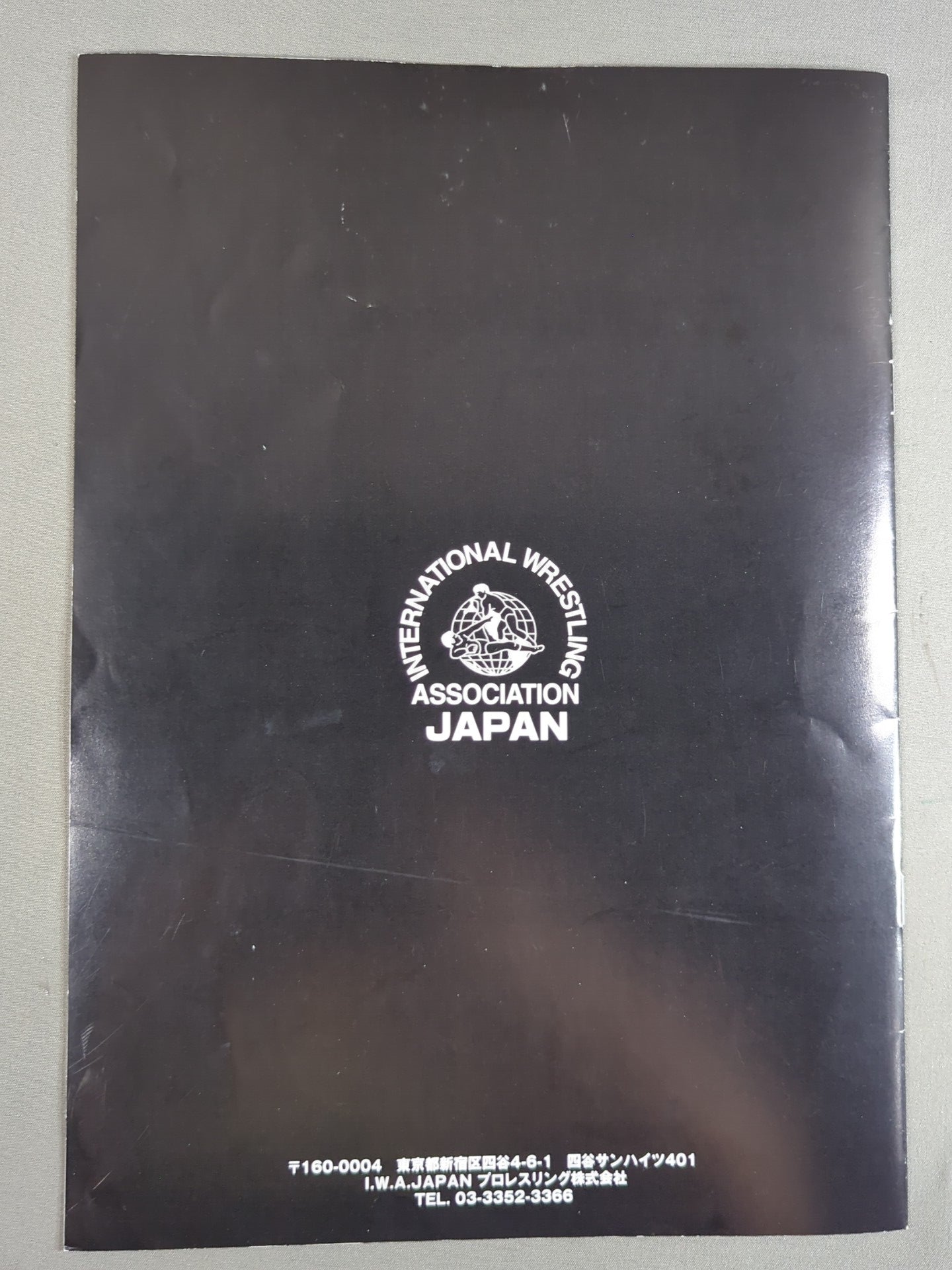 I.W.A.JAPANプロレス / DO YOU KNOW