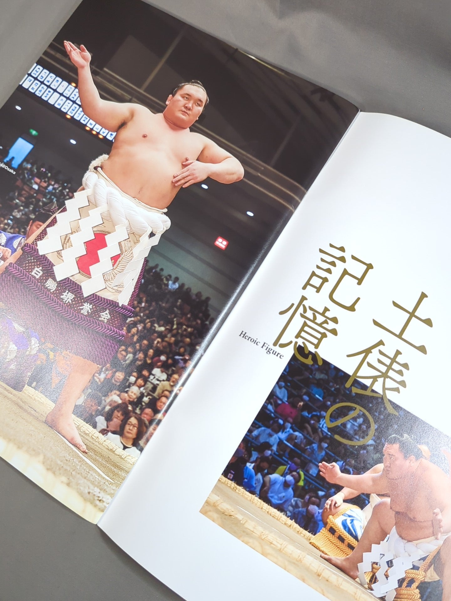 Hakuho retires and Miyagino succeeds to the name, showcasing his grand sumo