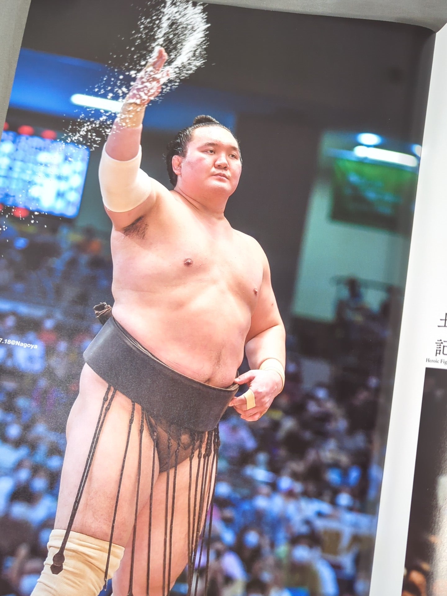 Hakuho retires and Miyagino succeeds to the name, showcasing his grand sumo