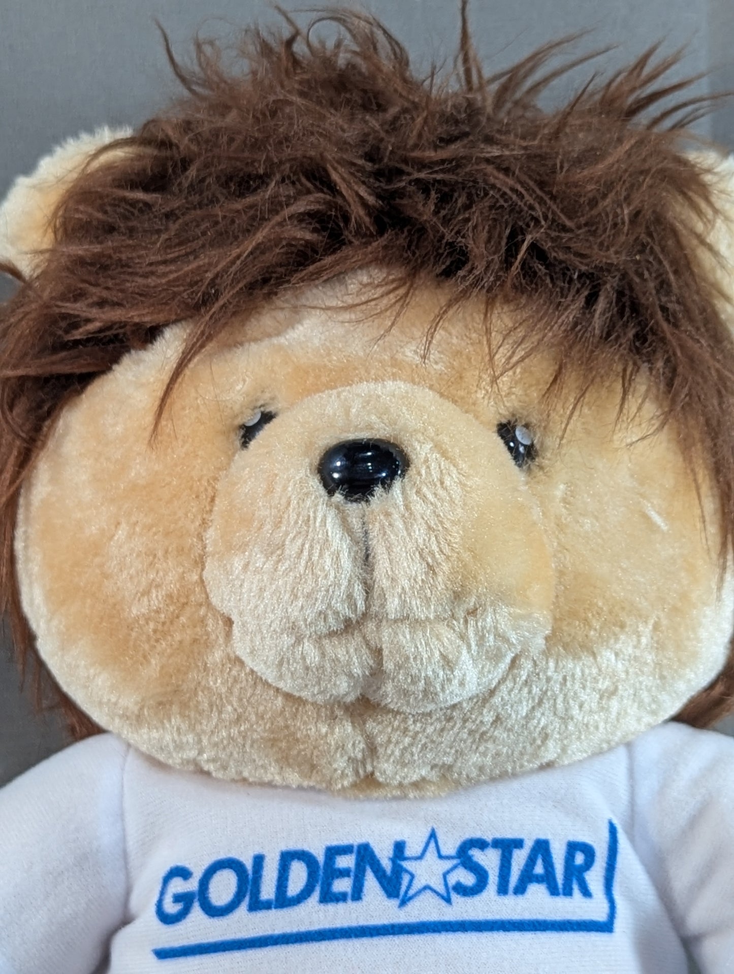 Kota Ibushi  "Mane Bear"