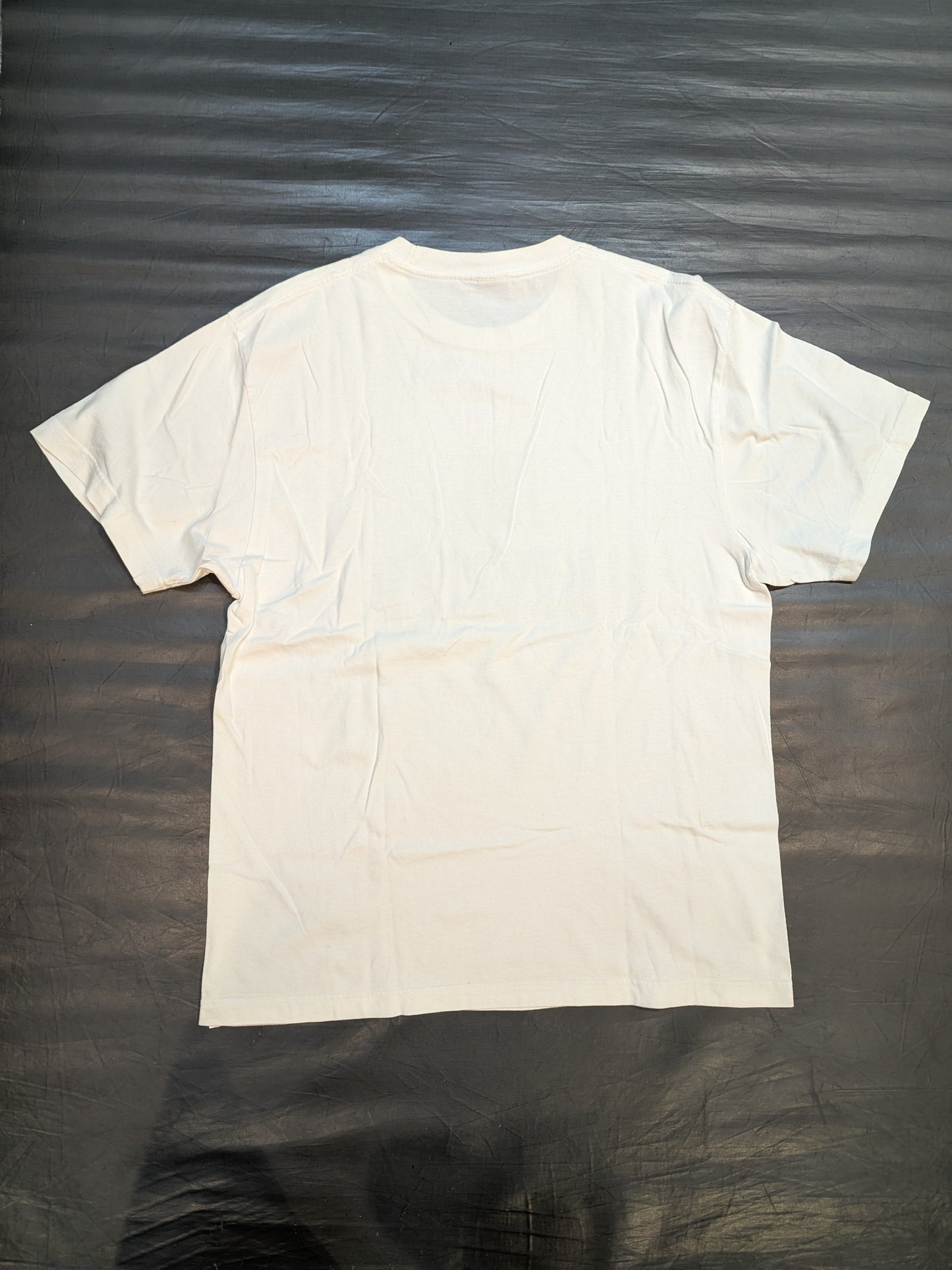 柴田勝頼「THE WRESTLER 2021 #2」Tシャツ(ホワイト)