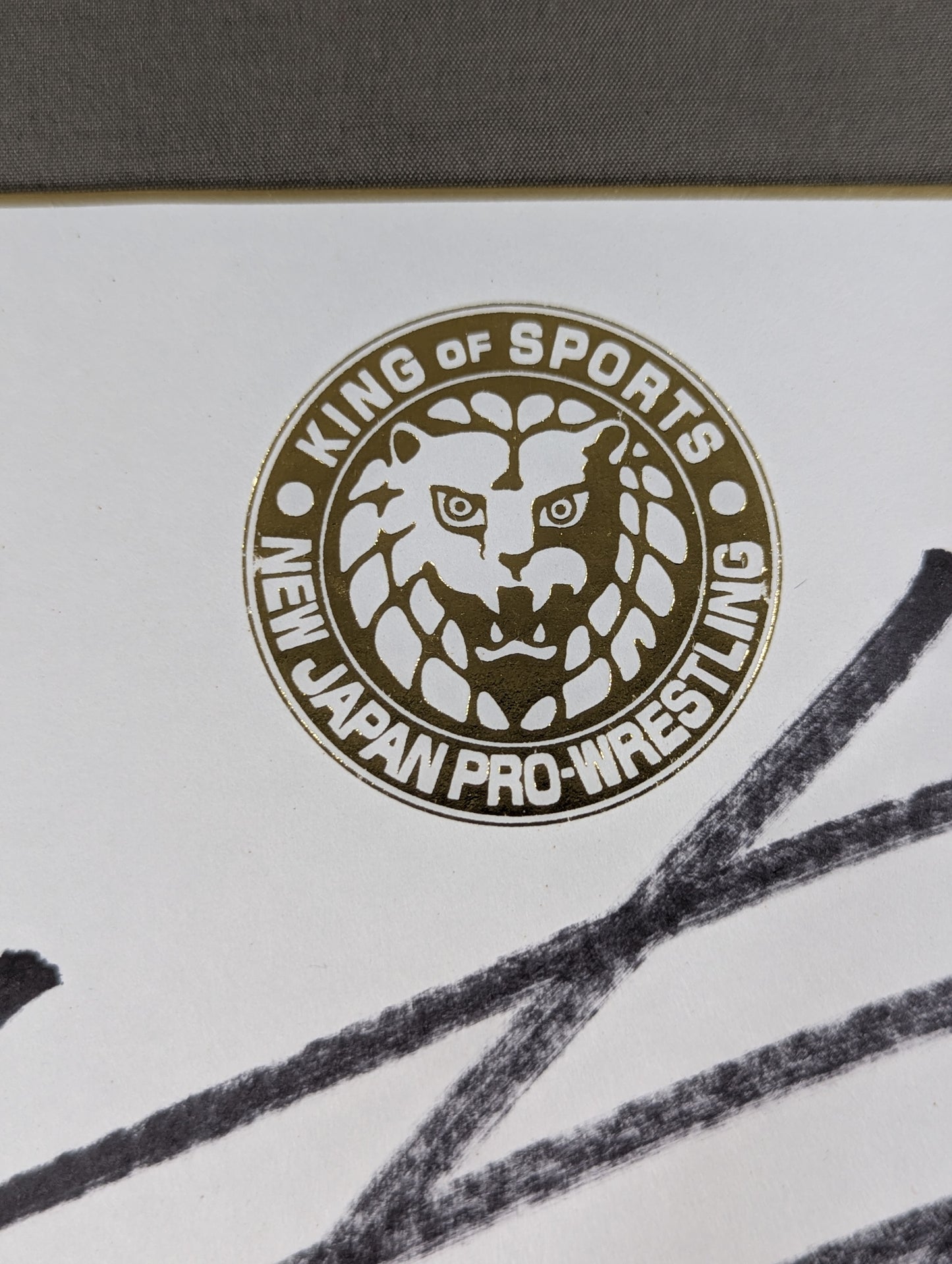 Manabu Nakanishi (Lion Mark ) Shikishi ( Autograph board ) )
