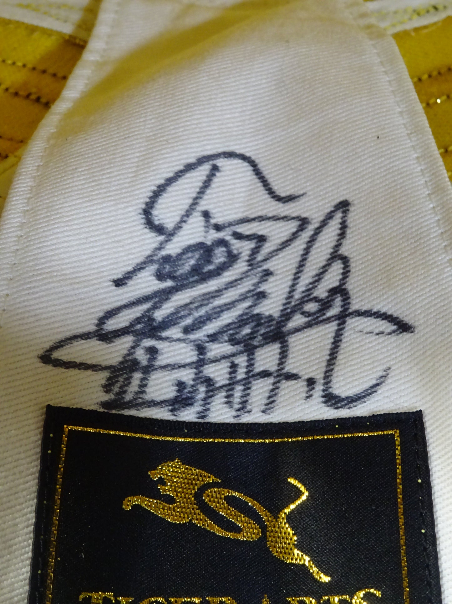 The first Tiger Mask