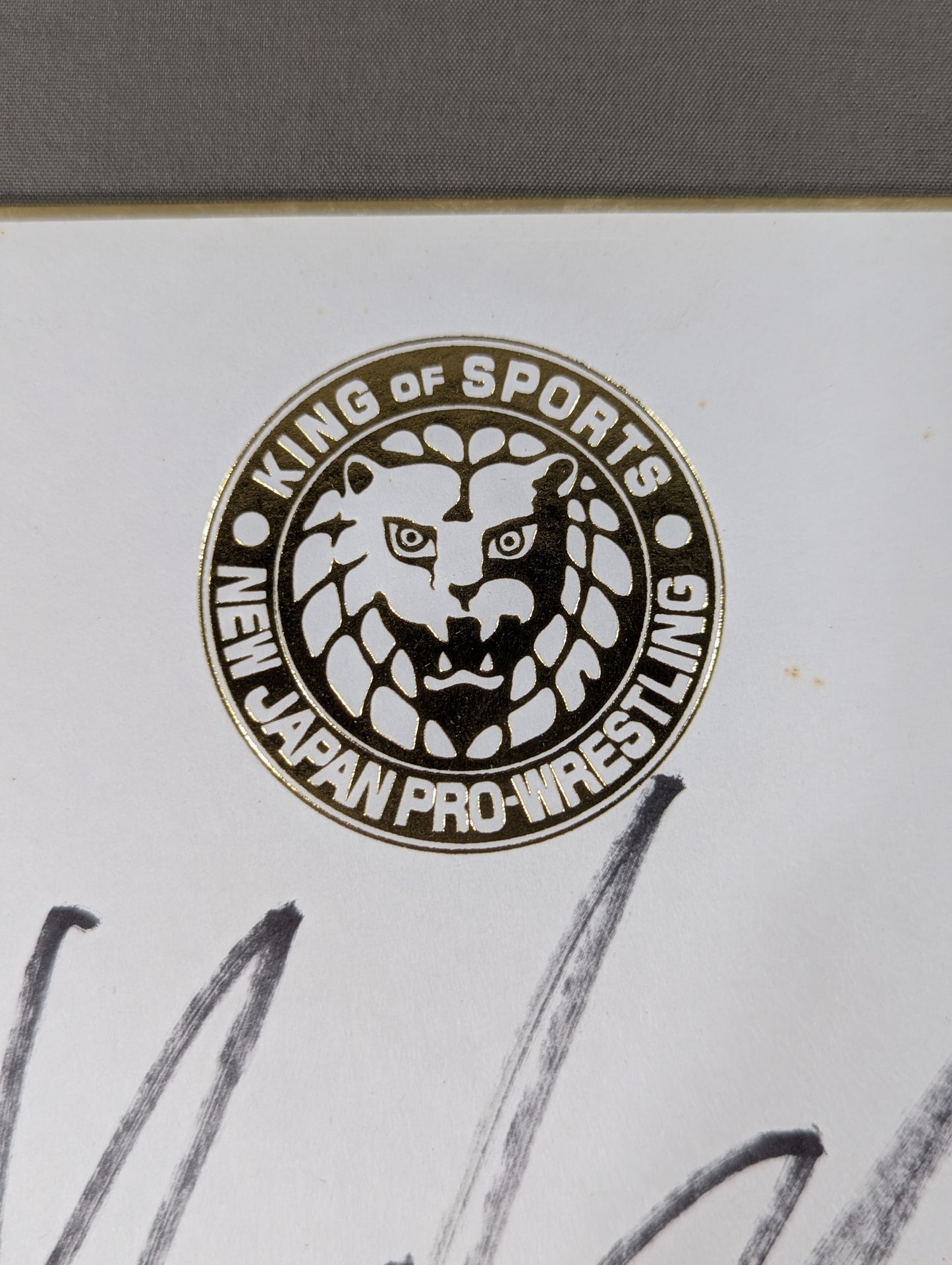 Hirooki Goto  (Lion Mark ) Shikishi ( Autograph board ) )