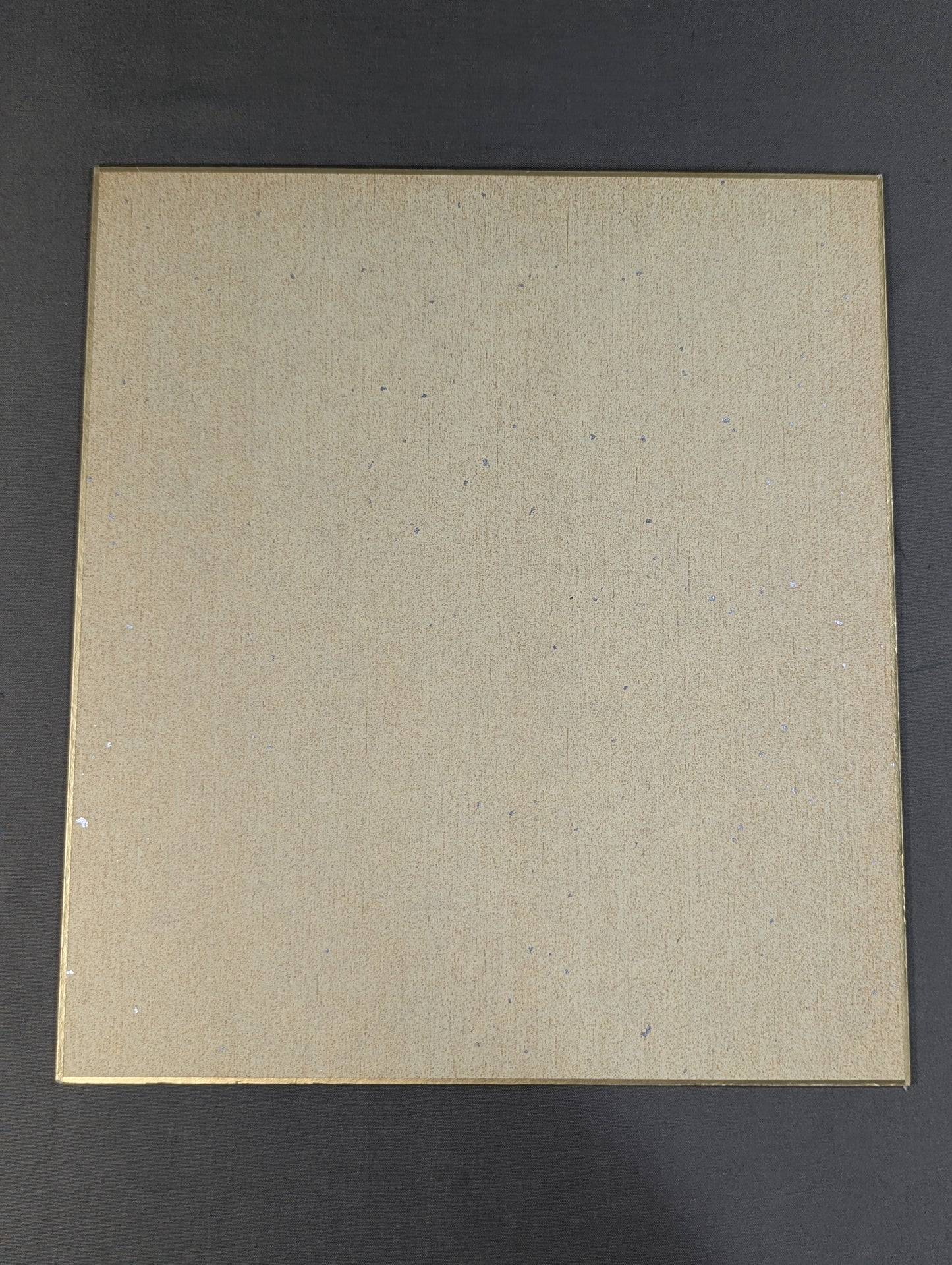 Hirooki Goto  (Lion Mark ) Shikishi ( Autograph board ) )
