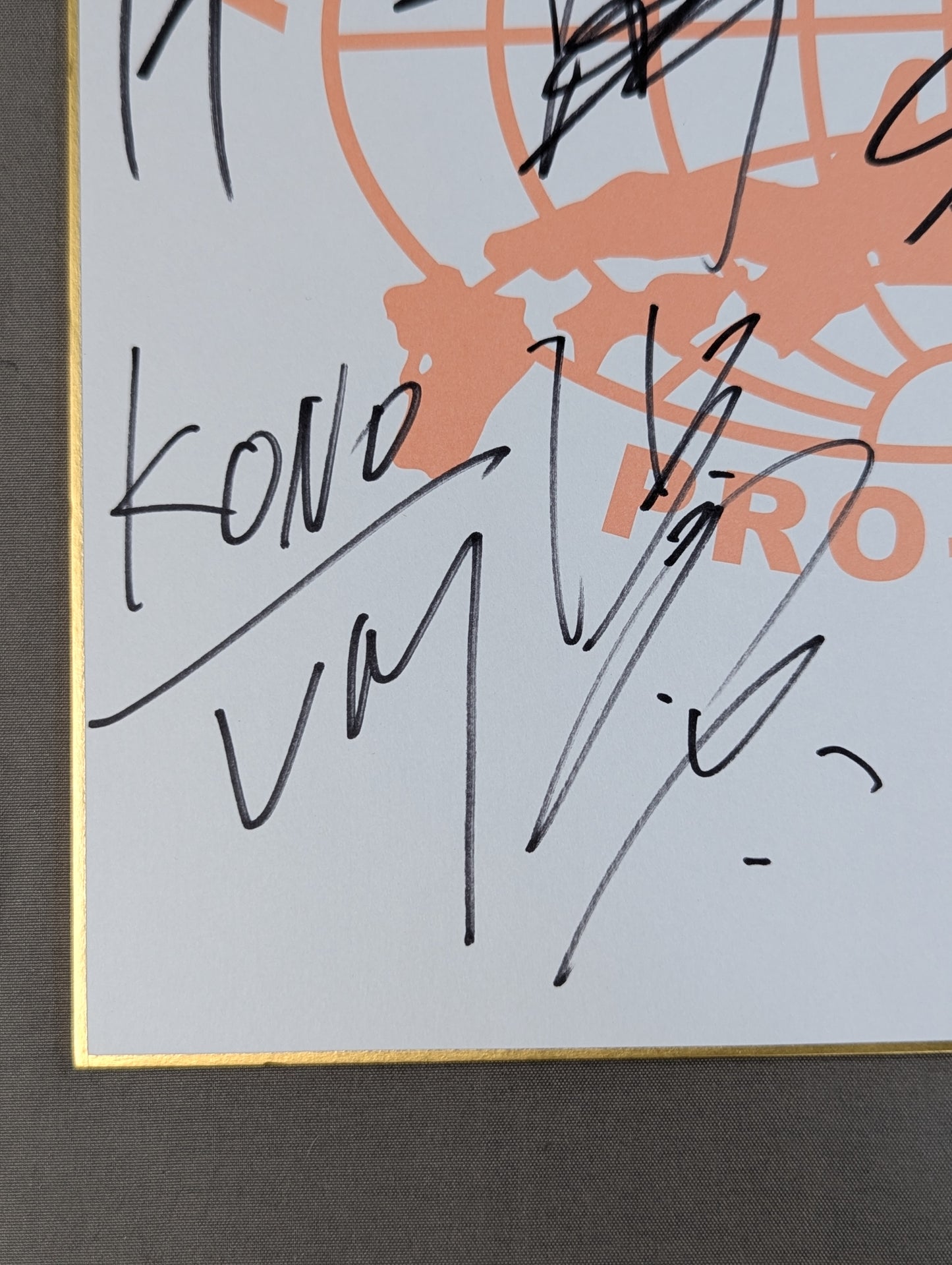 ★2011 Carnival ★ of Champions (All fighters  (Japan Pro Wrestling  exclusive Shikishi ( Autograph board ) )