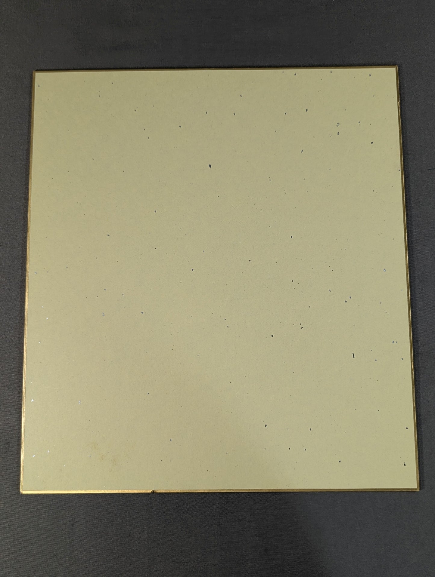 ★2011 Carnival ★ of Champions (All fighters  (Japan Pro Wrestling  exclusive Shikishi ( Autograph board ) )