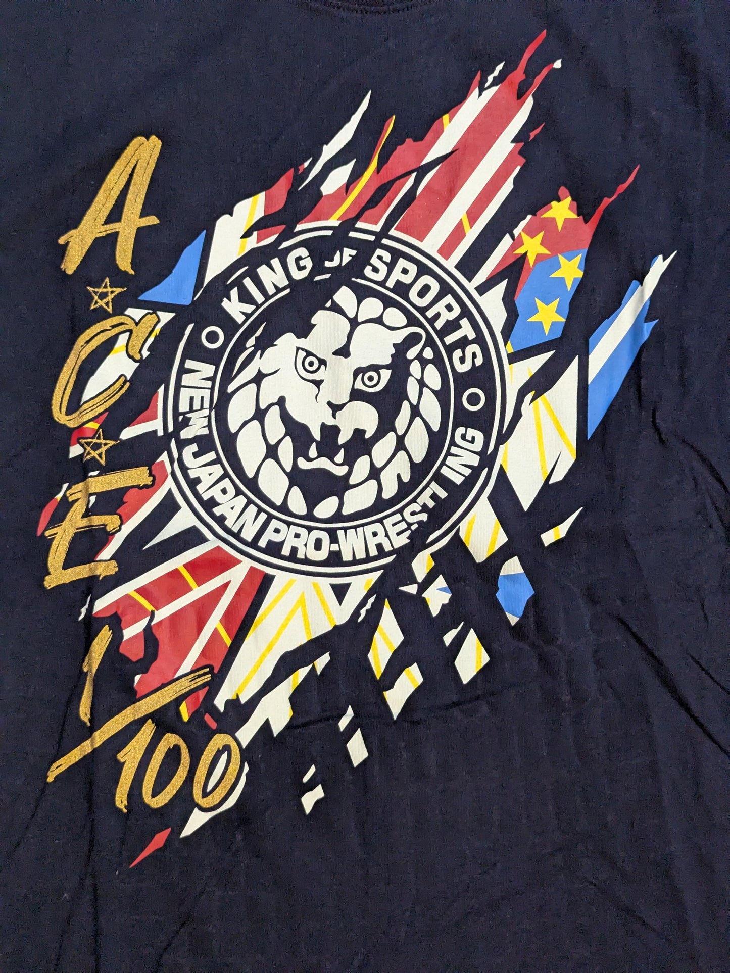 Hiroshi Tanahashi × Shimamura T-shirt (2) (Navy)