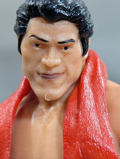 Antonio Inoki  (red towel)
