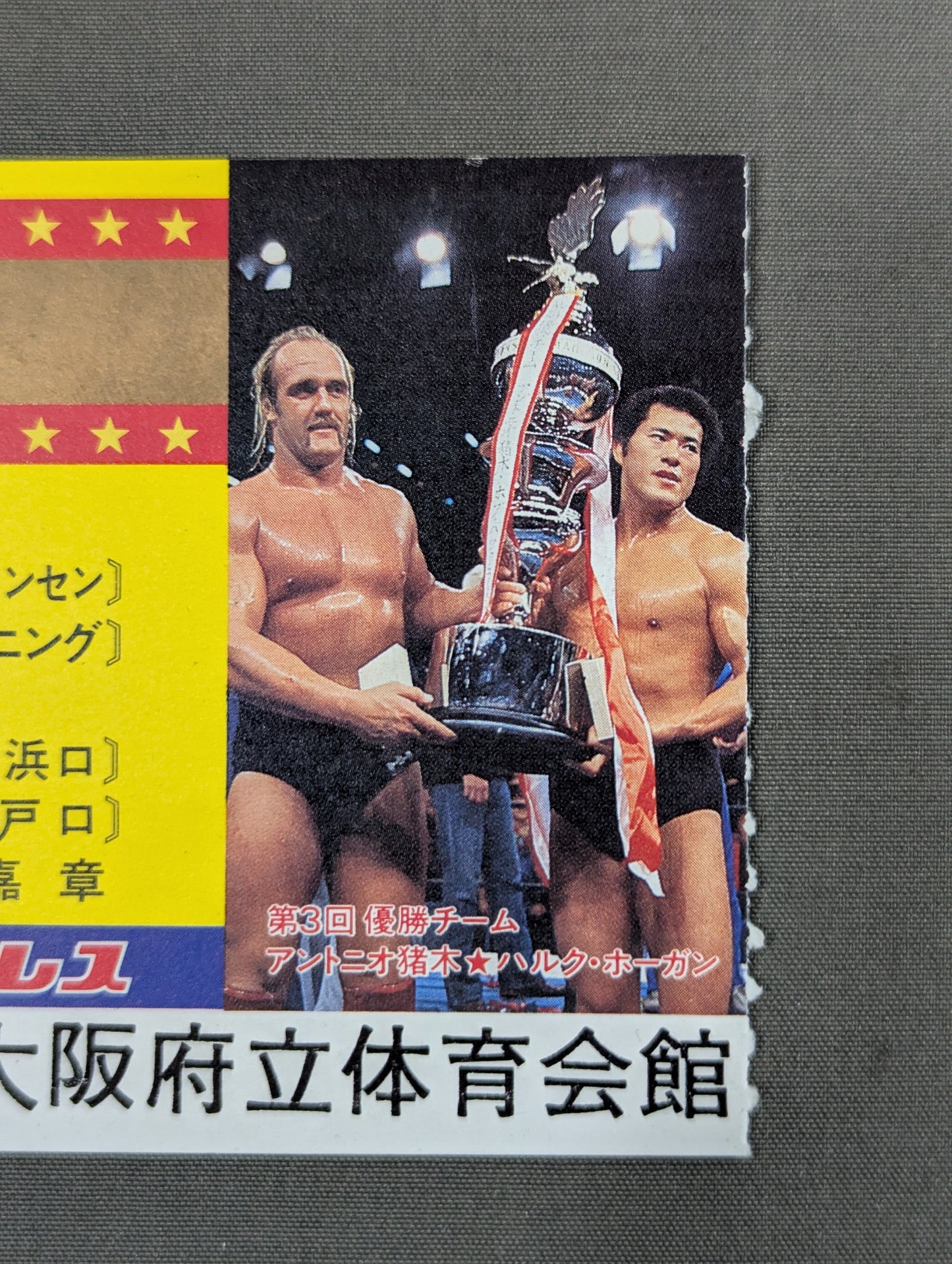 83第4回MSGタッグ・リーグ戦