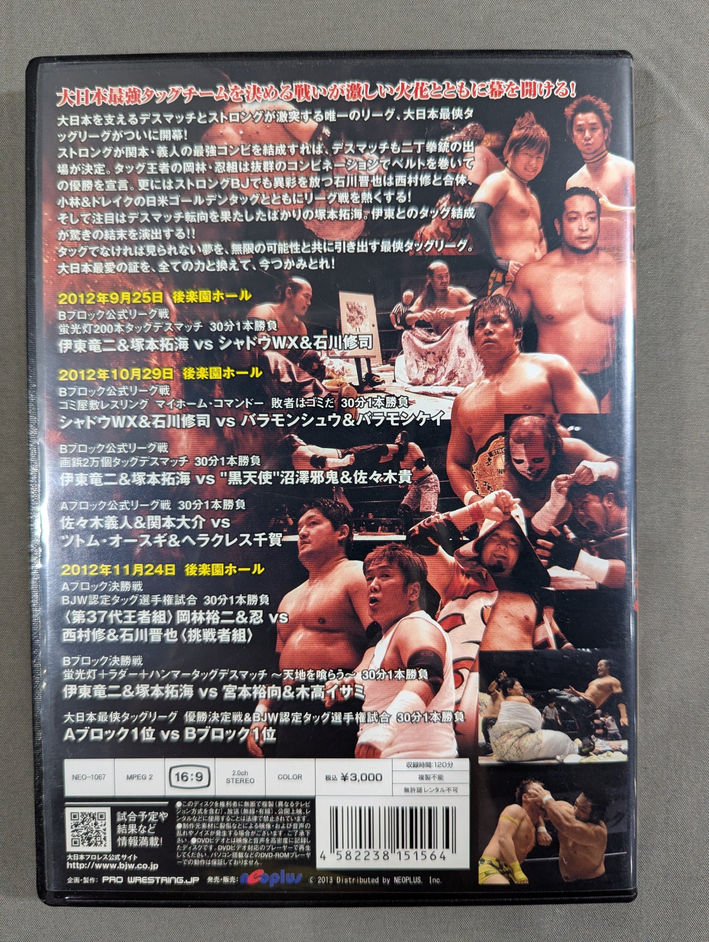 大日本プロレス超激闘スペシャル 超激大戦TAG