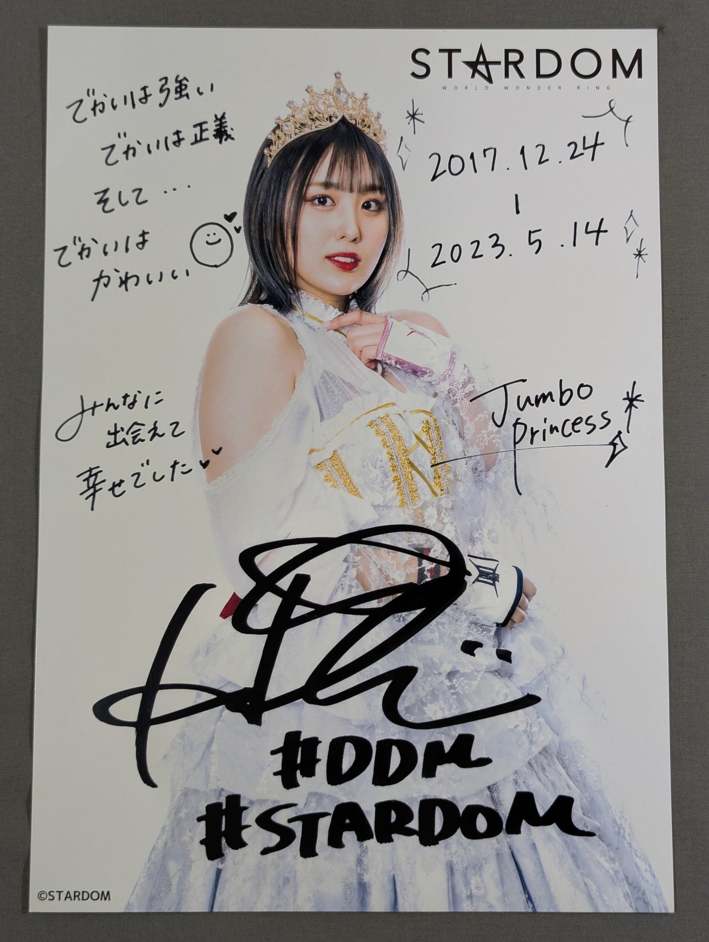 Last Jumbo Princess ひめか ポートレート