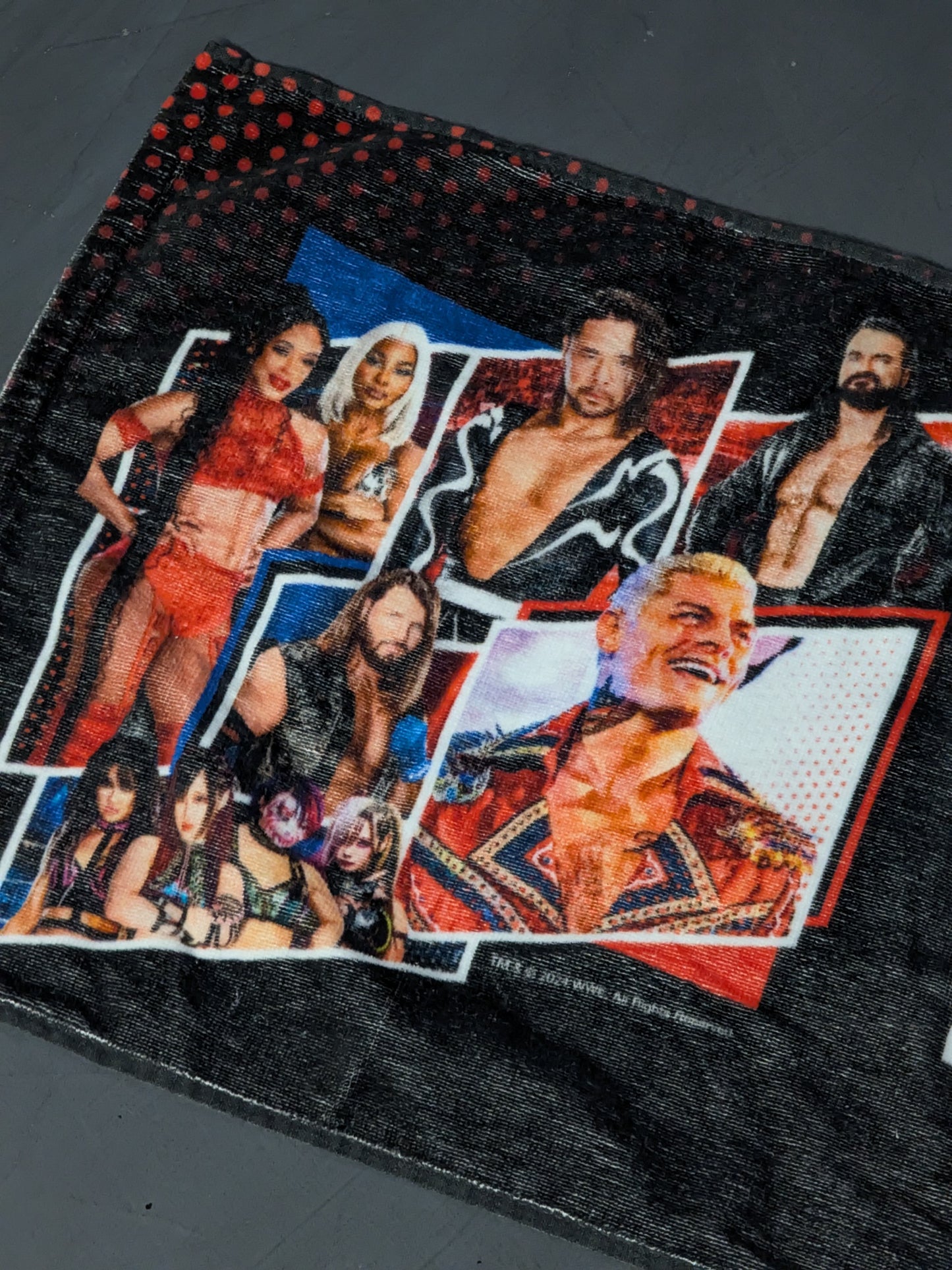 WWE SUMMER TOUR 2024 Japan Show Face Towel (B)