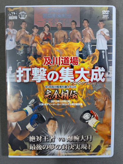 及川道場 打撃の集大成 完全相伝