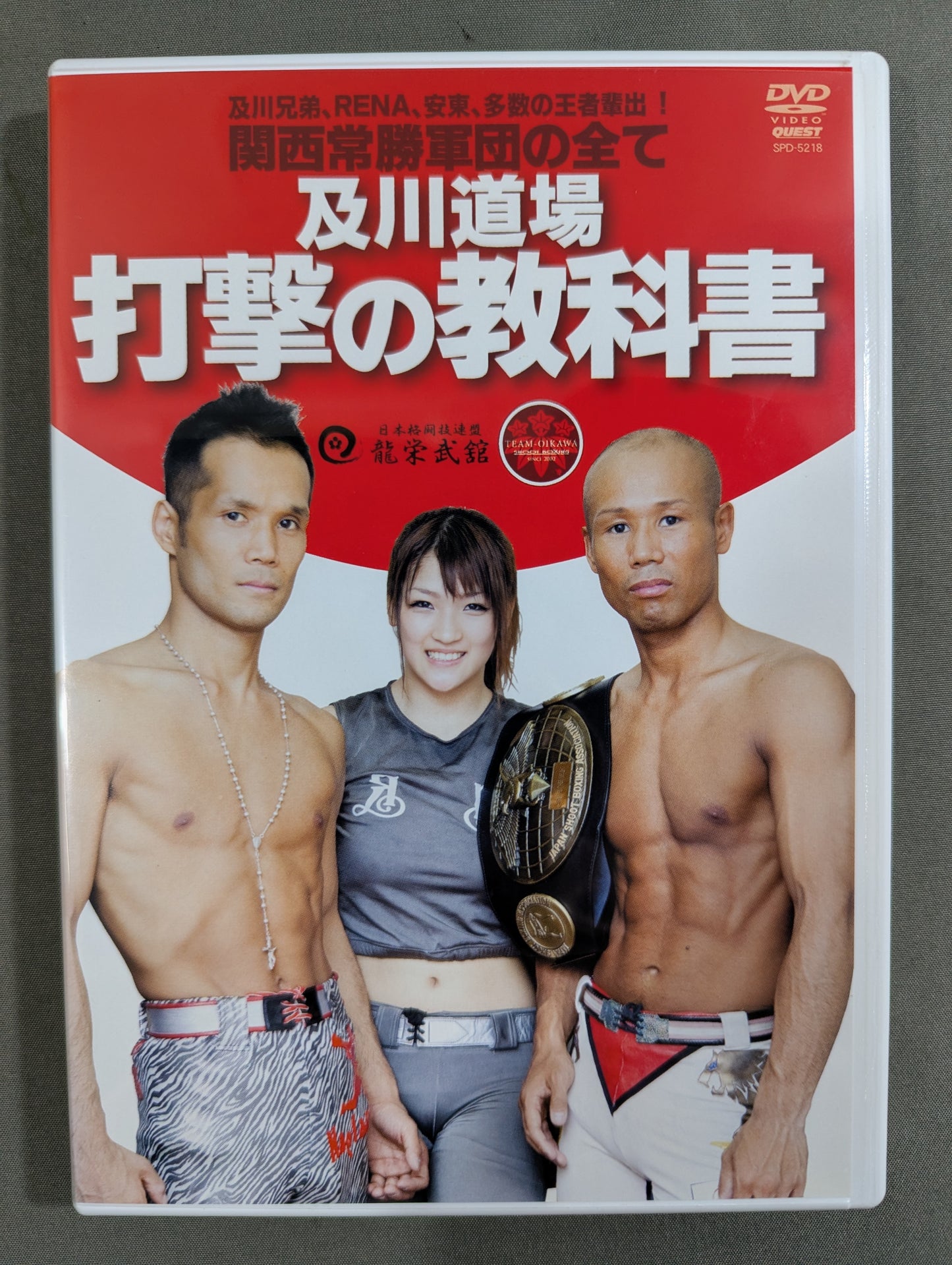 Oikawa Dojo Batting Textbook